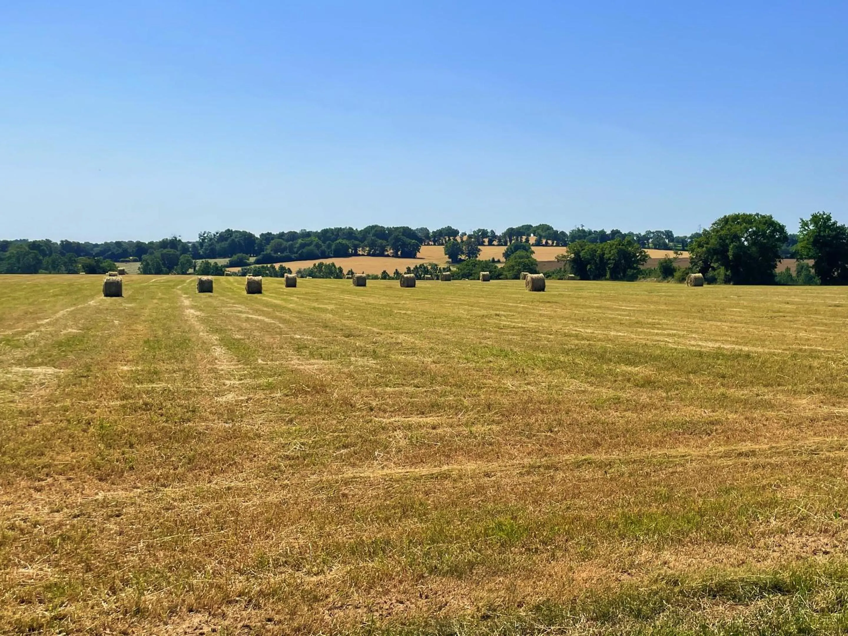 Property building in La Petite Félixière