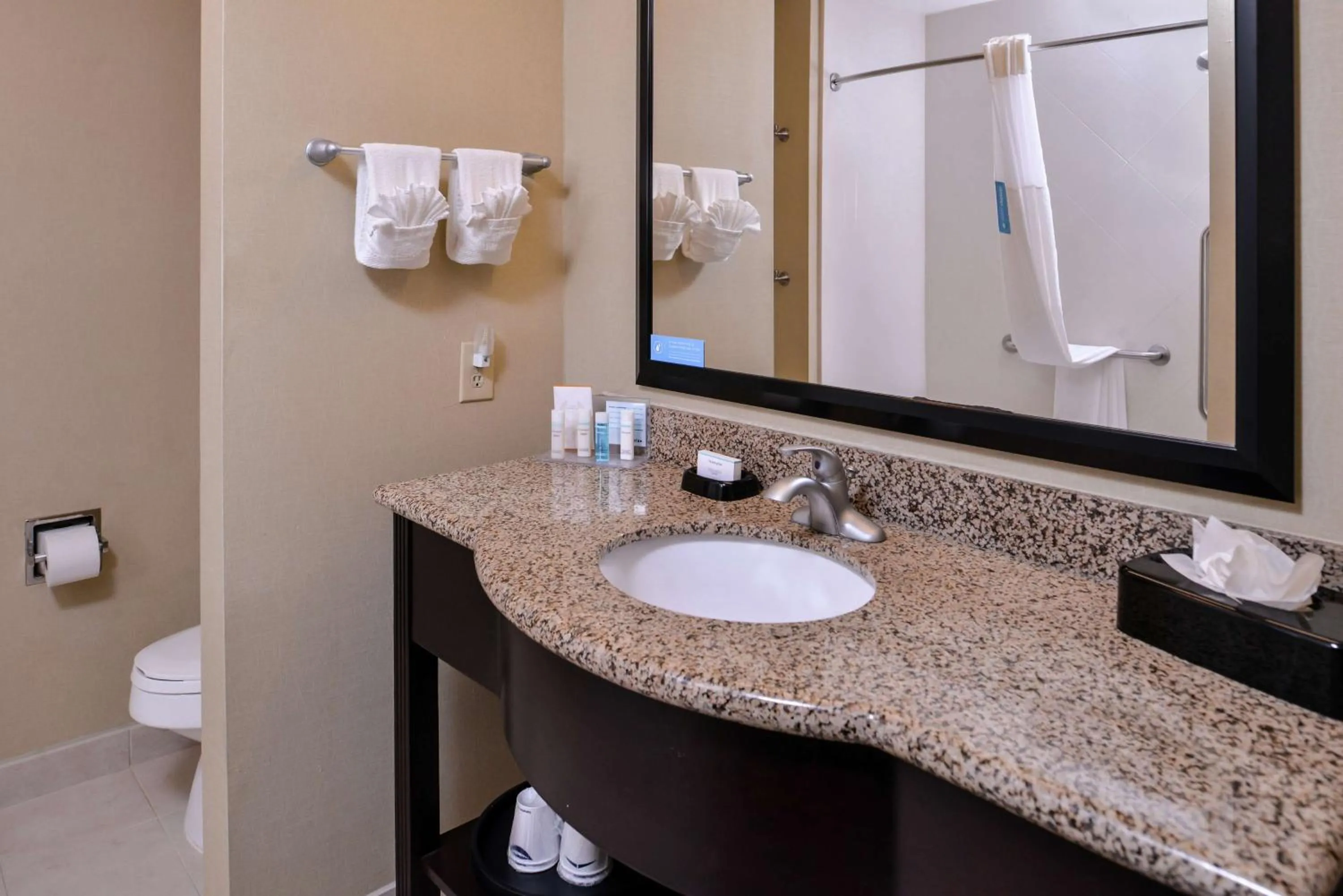 Bathroom in Hampton Inn & Suites Big Spring