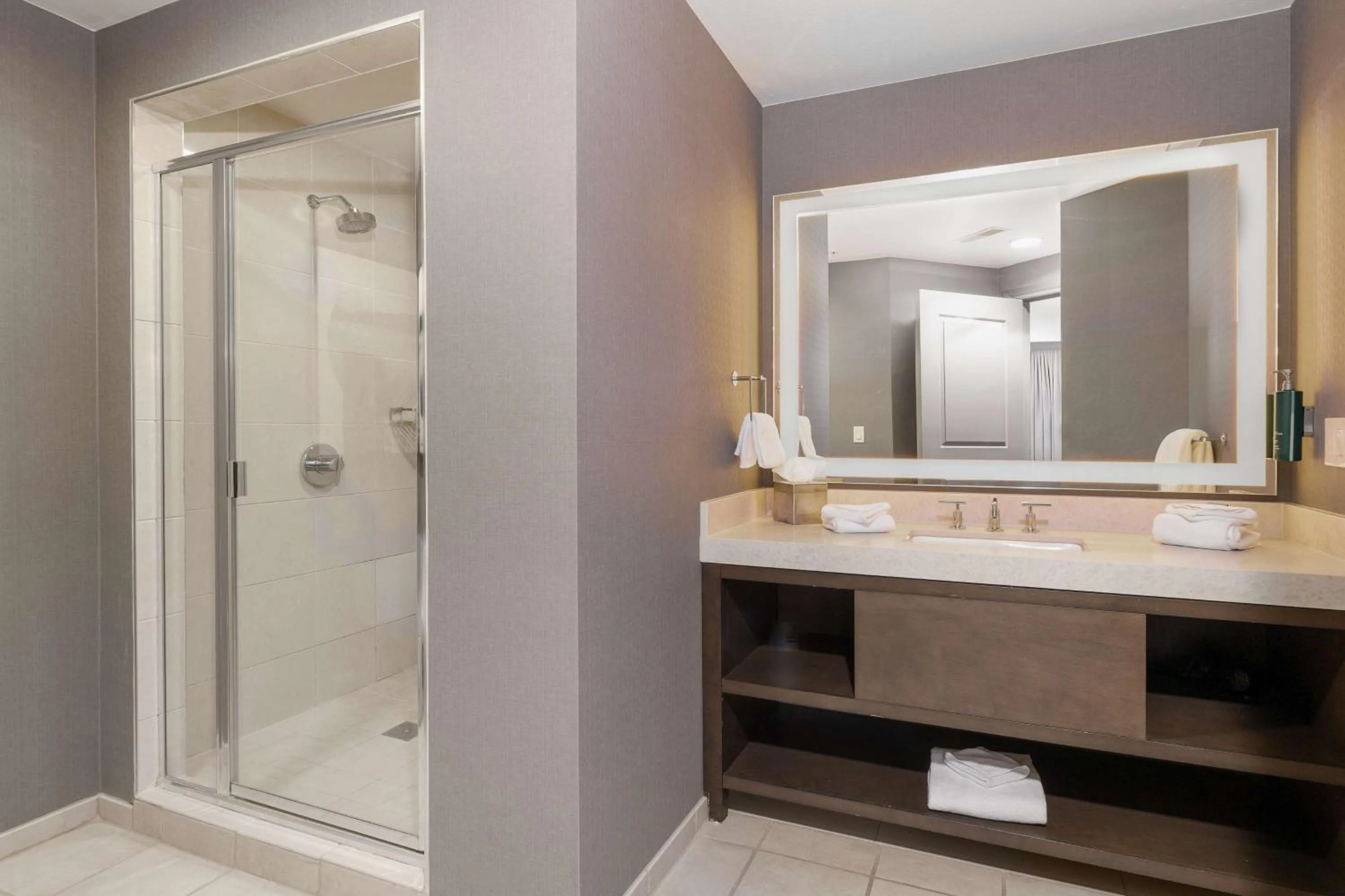 Bathroom in Hilton Promenade Branson Landing