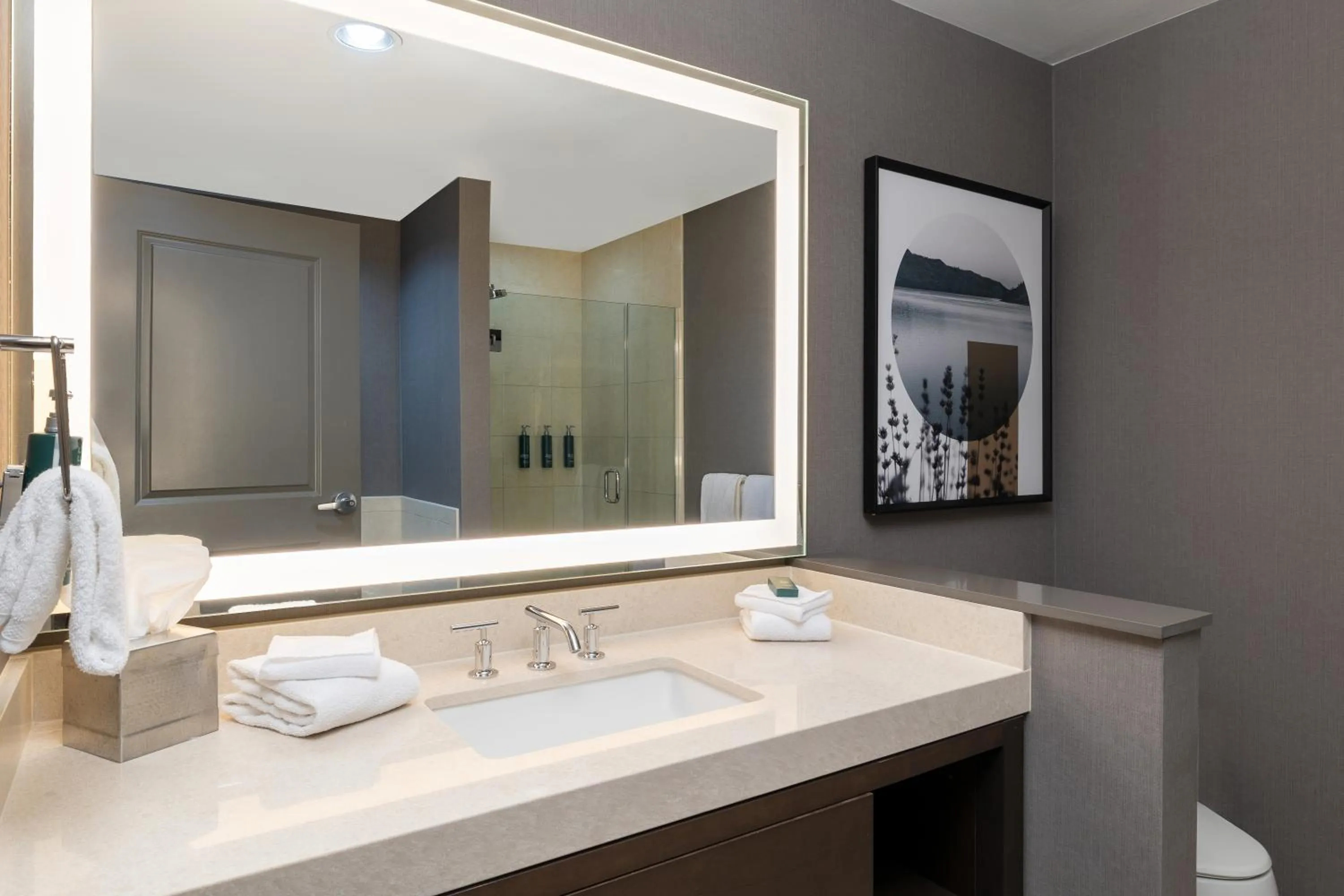 Bathroom in Hilton Promenade Branson Landing