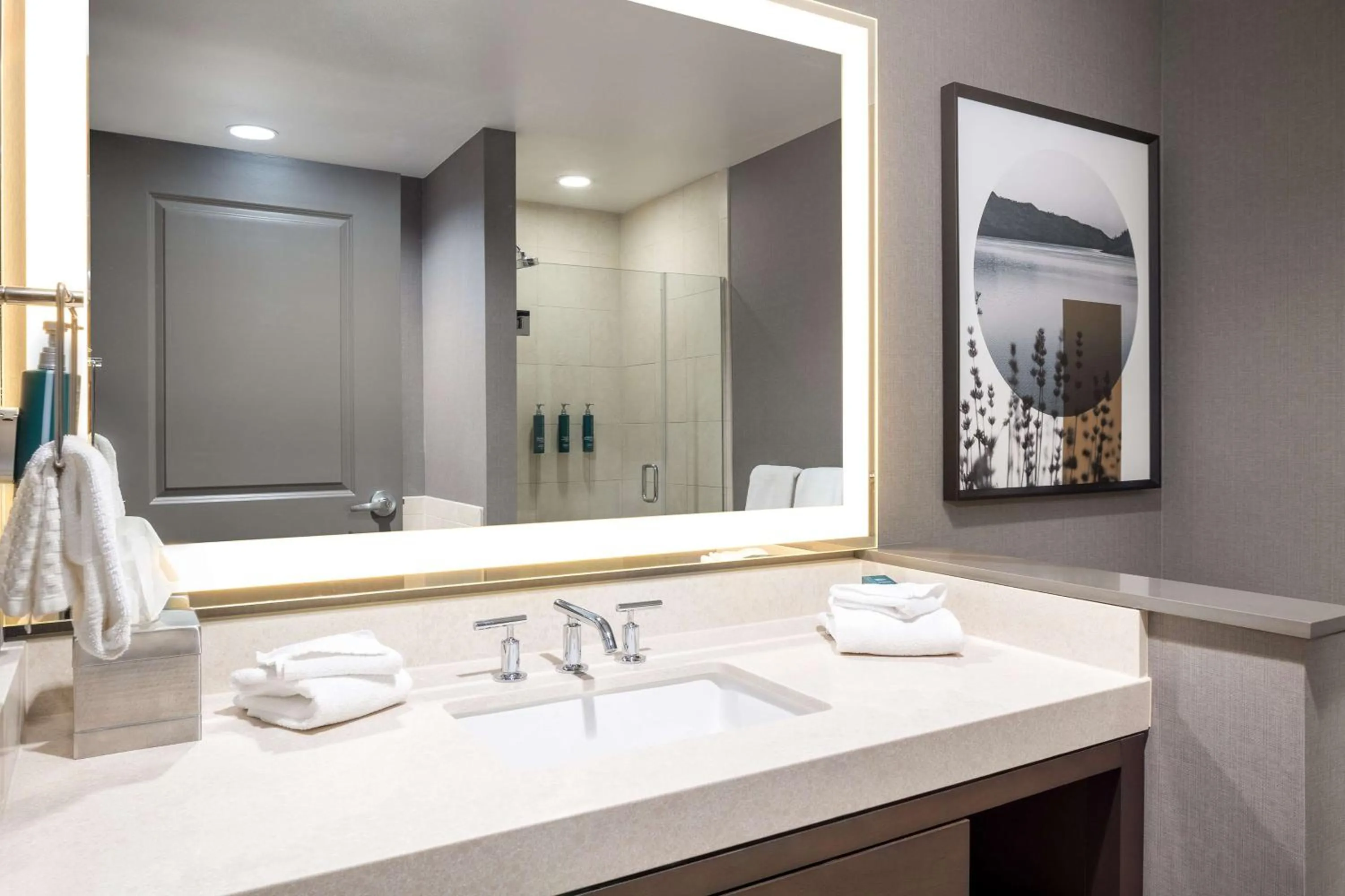 Bathroom in Hilton Promenade Branson Landing