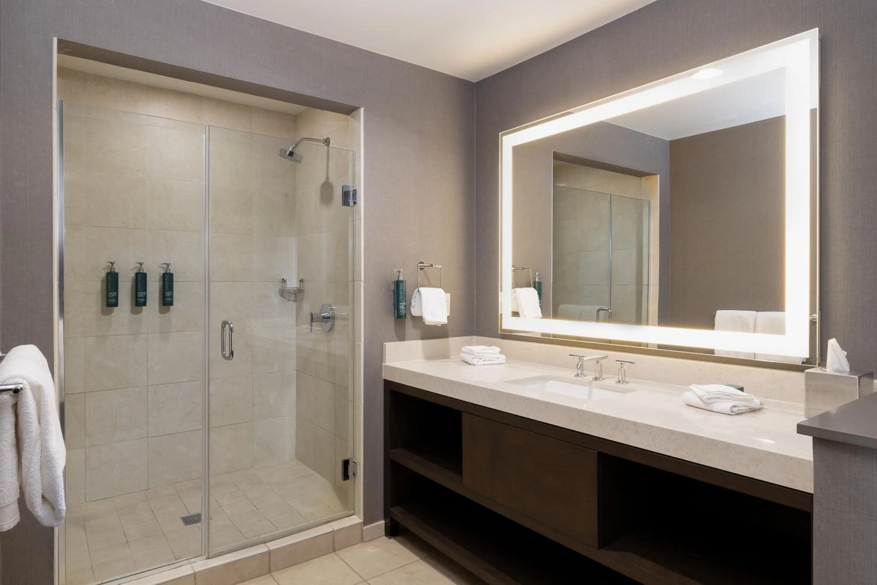 Bathroom in Hilton Promenade Branson Landing