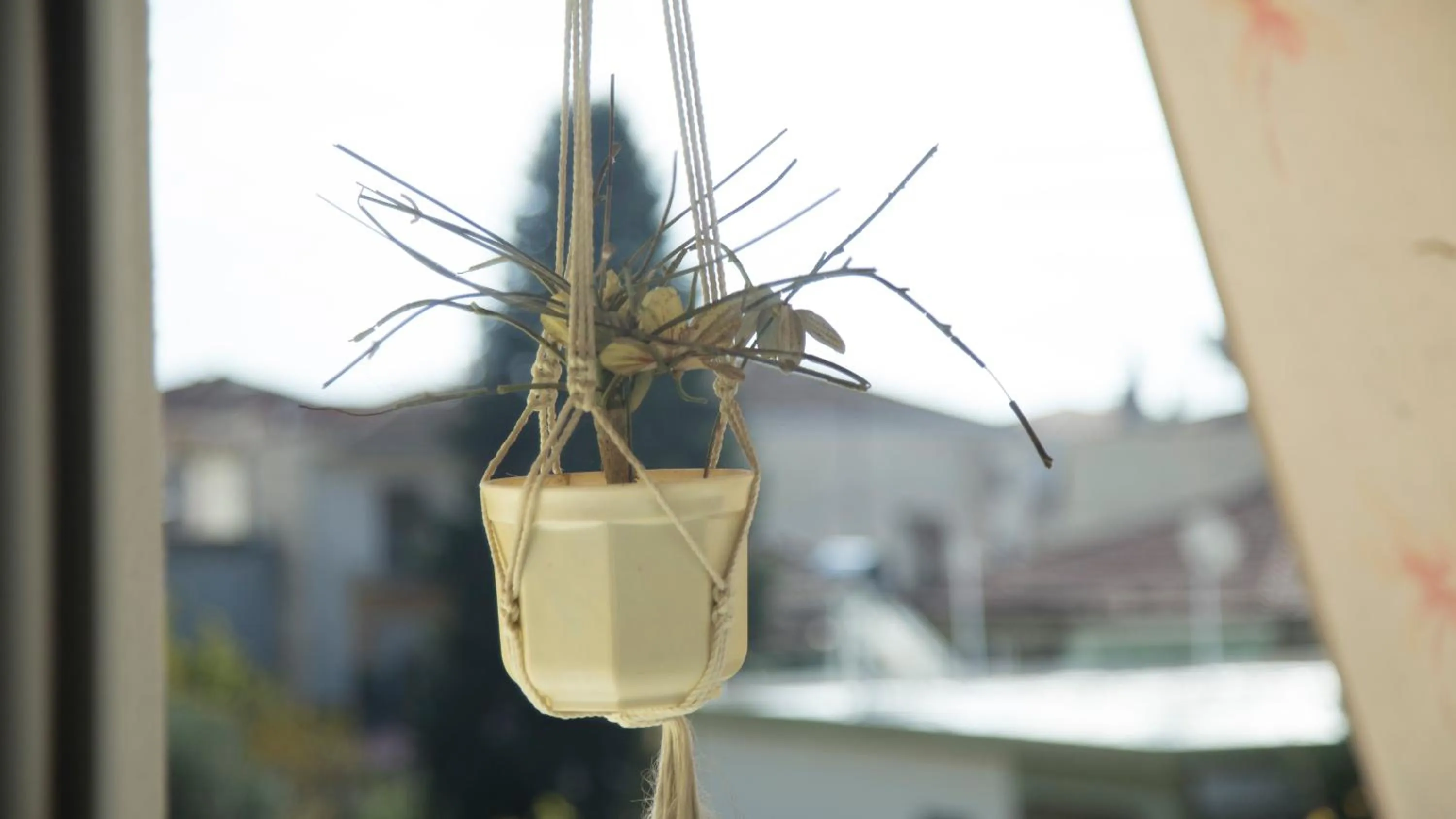 Balcony/Terrace in Luxury City Center Apartment