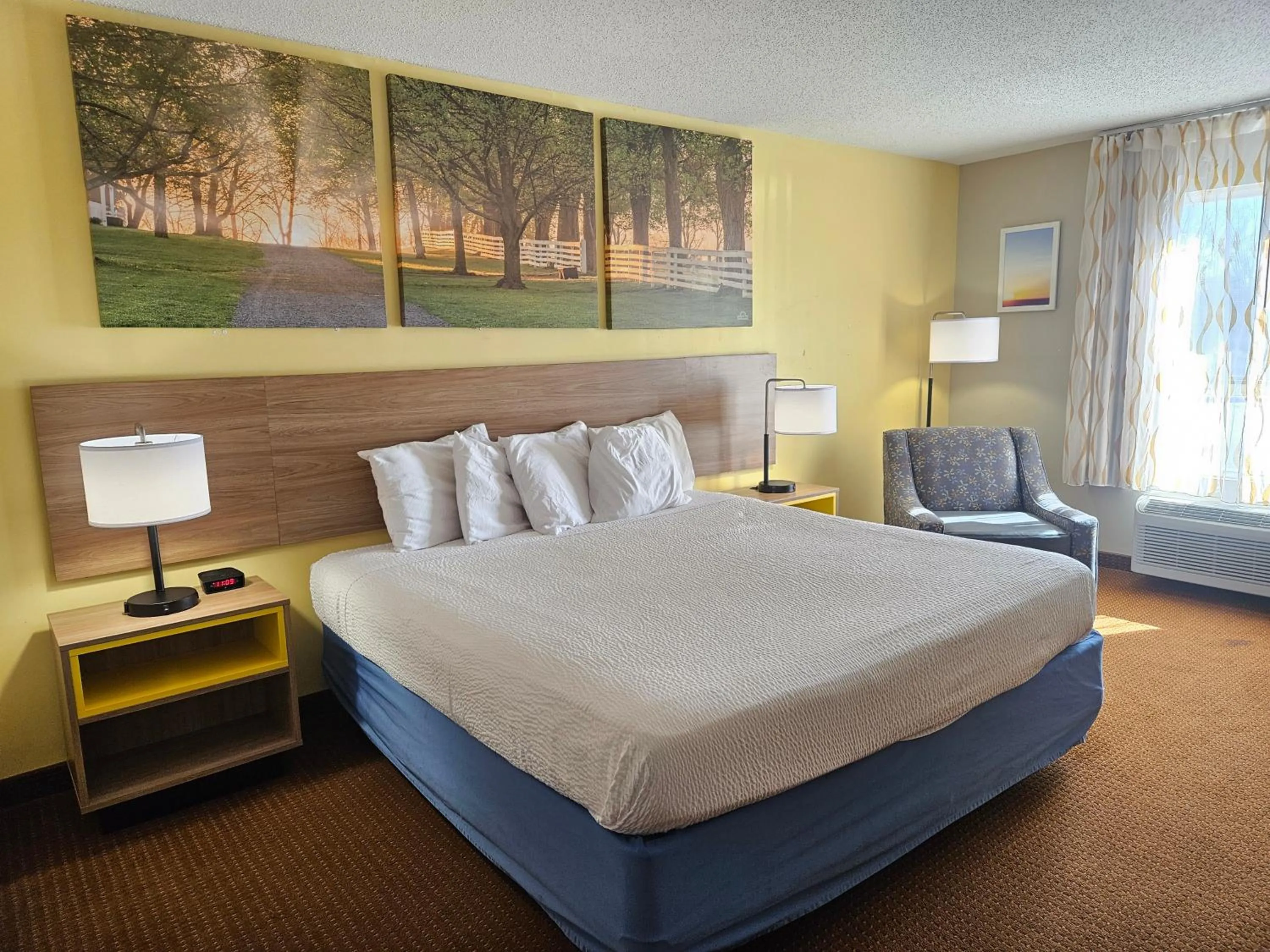 Bed in Days Inn by Wyndham Greensboro NC