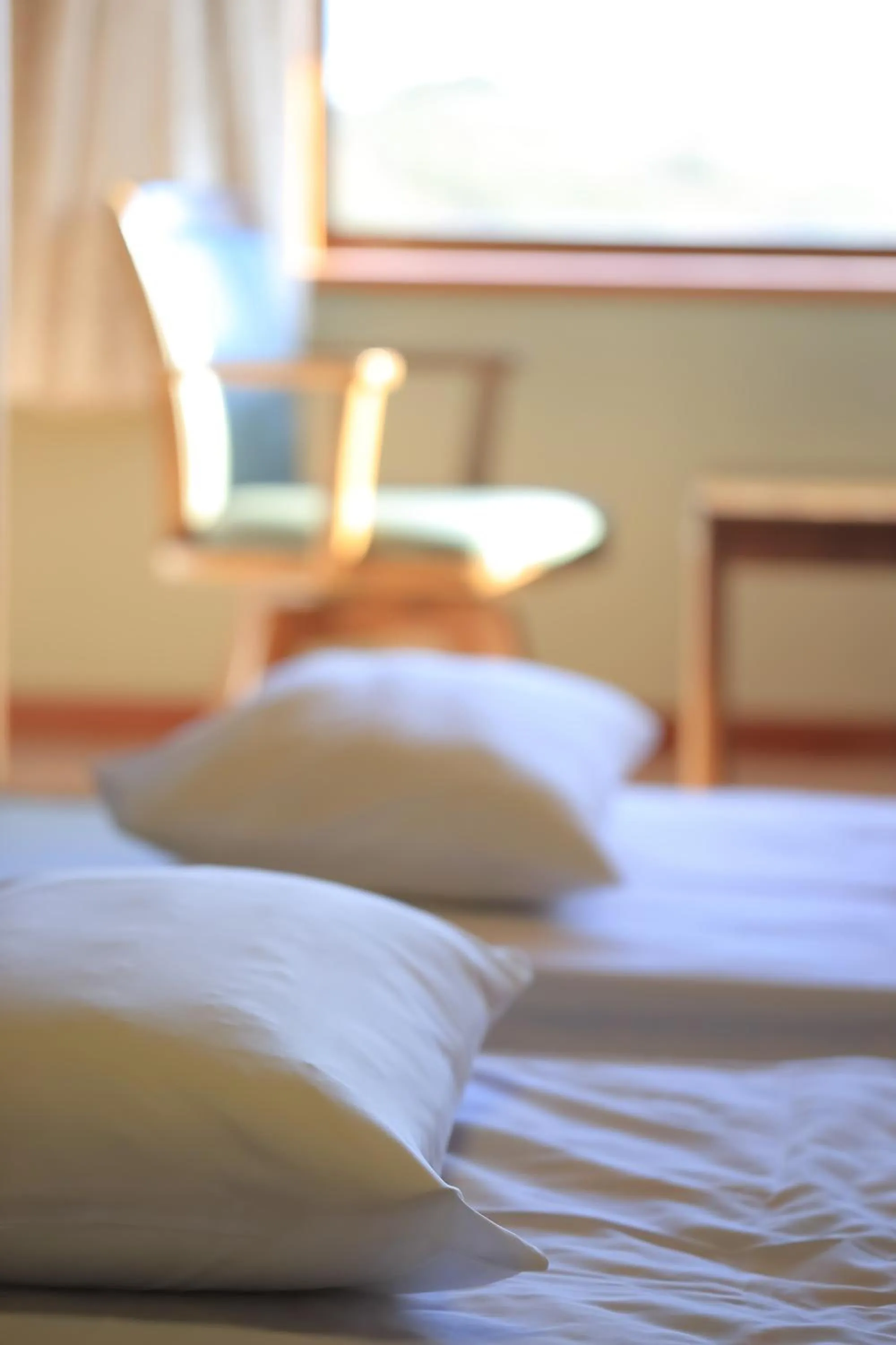 Photo of the whole room, Bed in mt. inn(マウントイン）