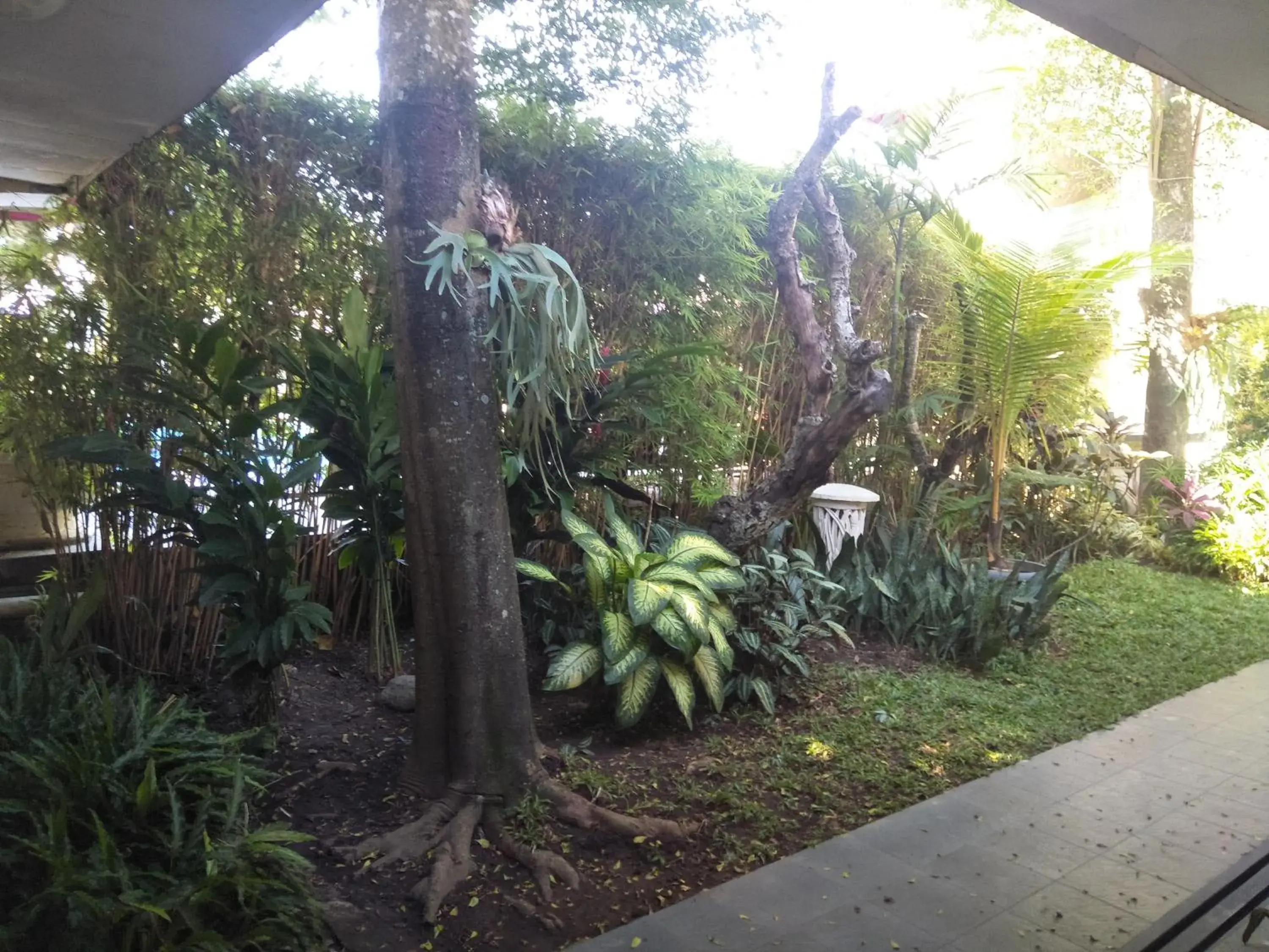 Property building in Hotel Grand Rosela Property building in Hotel Grand Rosela