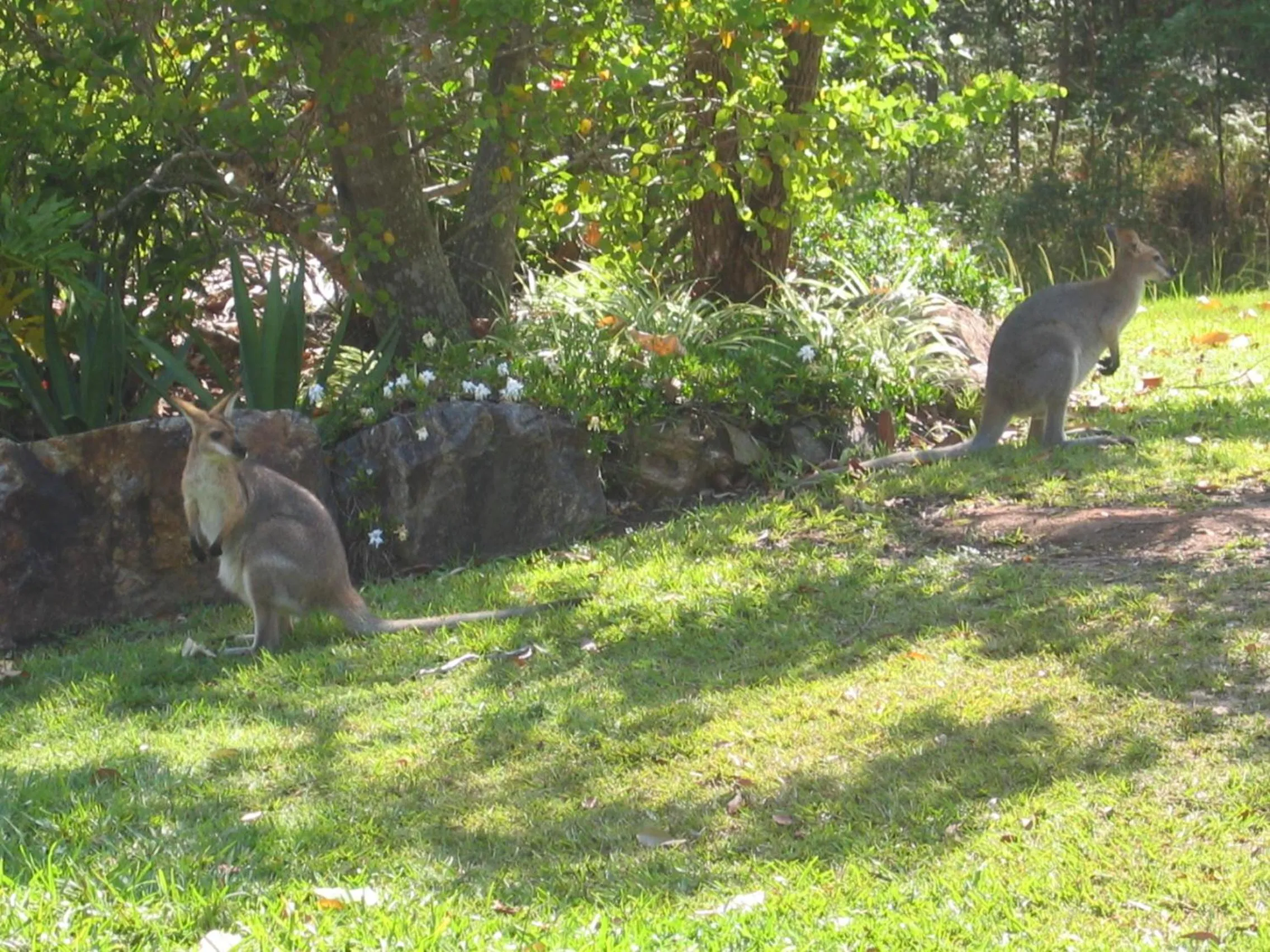 Riviera Bed & Breakfast