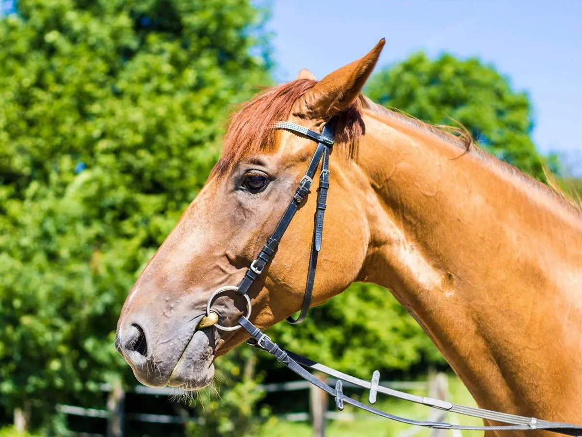 Nearby landmark in Shiobara Onsen Tokiwa Hotel