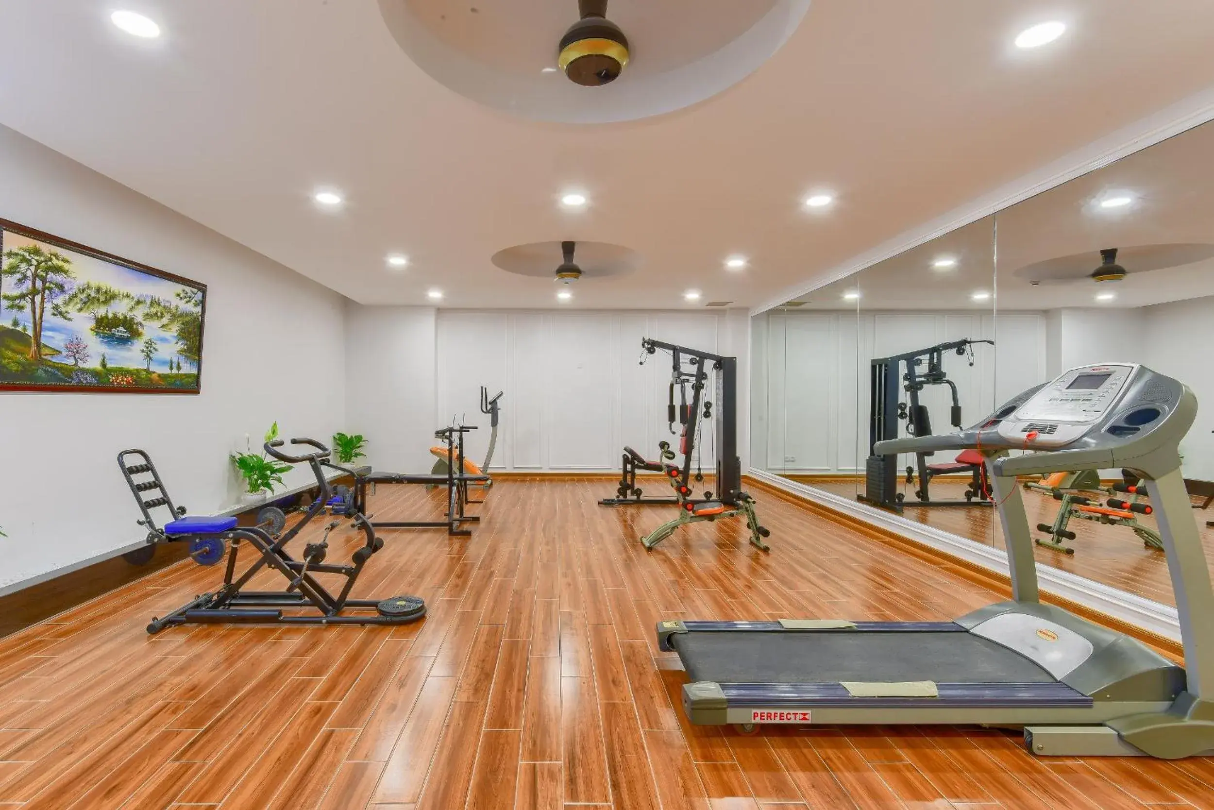 Fitness centre/facilities in Khách sạn Park Hotel Dalat Fitness centre/facilities in Khách sạn Park Hotel Dalat