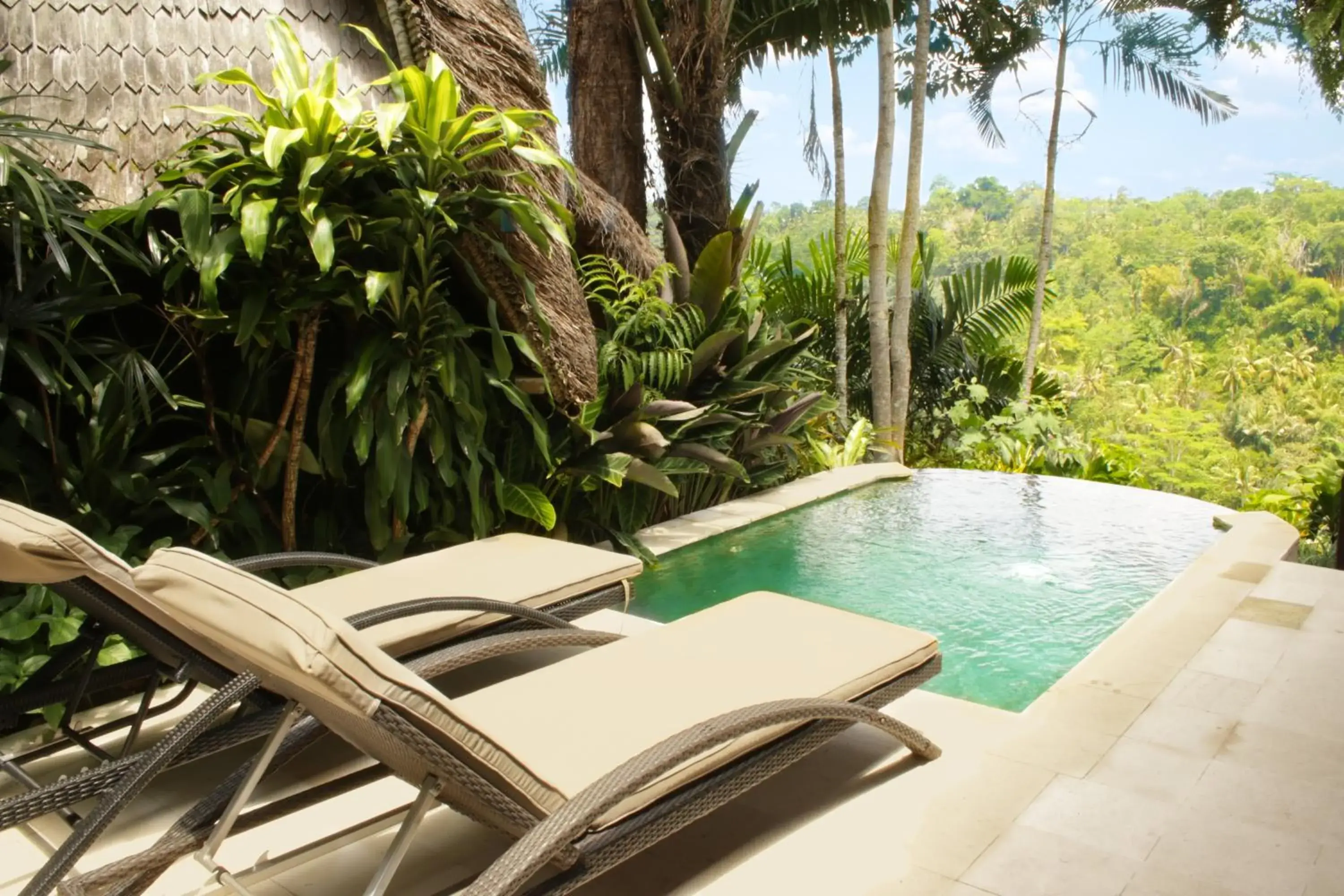 Pool view in Kupu Kupu Barong Villas and Tree Spa by L’OCCITANE Pool view in Kupu Kupu Barong Villas and Tree Spa by L’OCCITANE