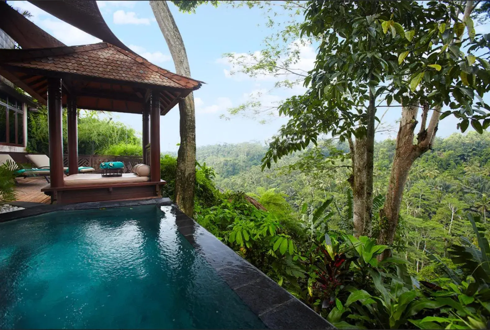 Pool view in Kupu Kupu Barong Villas and Tree Spa by L’OCCITANE Pool view in Kupu Kupu Barong Villas and Tree Spa by L’OCCITANE