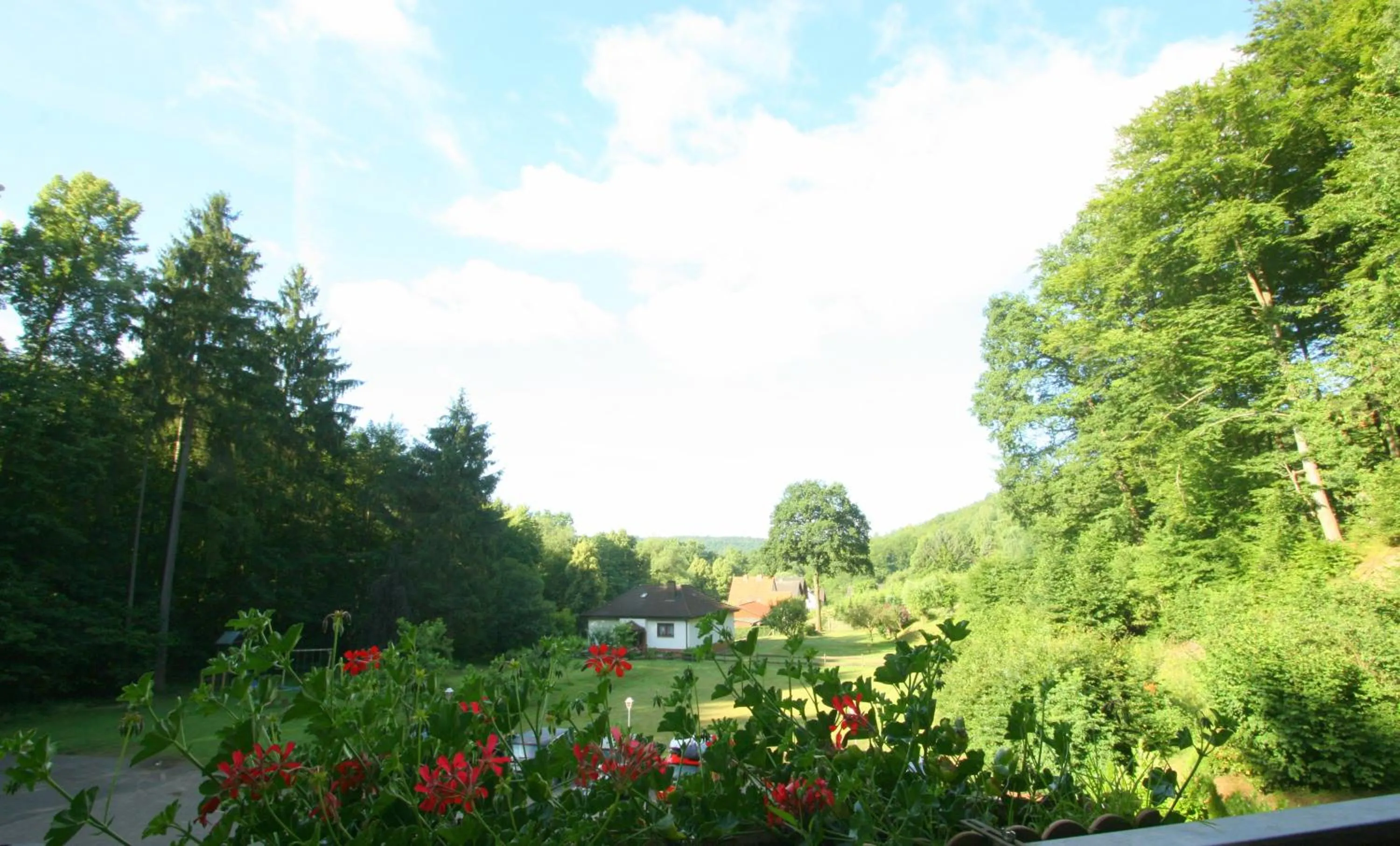 Garden view in Hotel-Restaurant Jagdhaus Heede