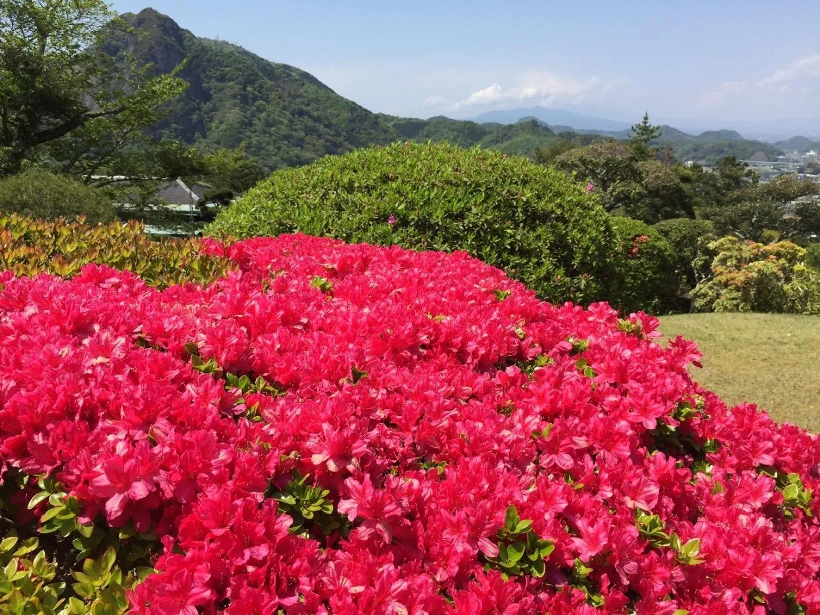 Garden in Ohito Hotel