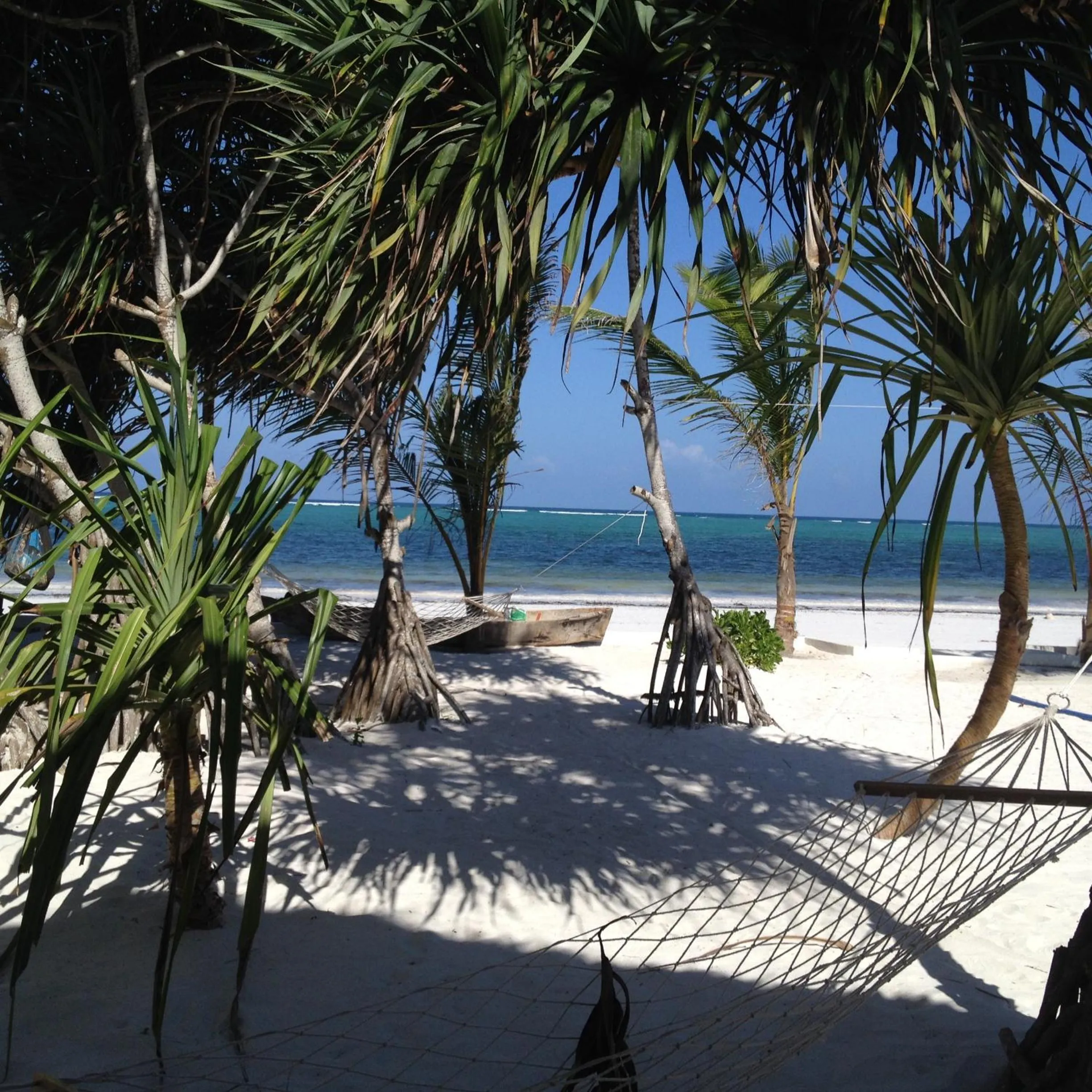 Beach in Zanzibar Magic Boutique Hotel