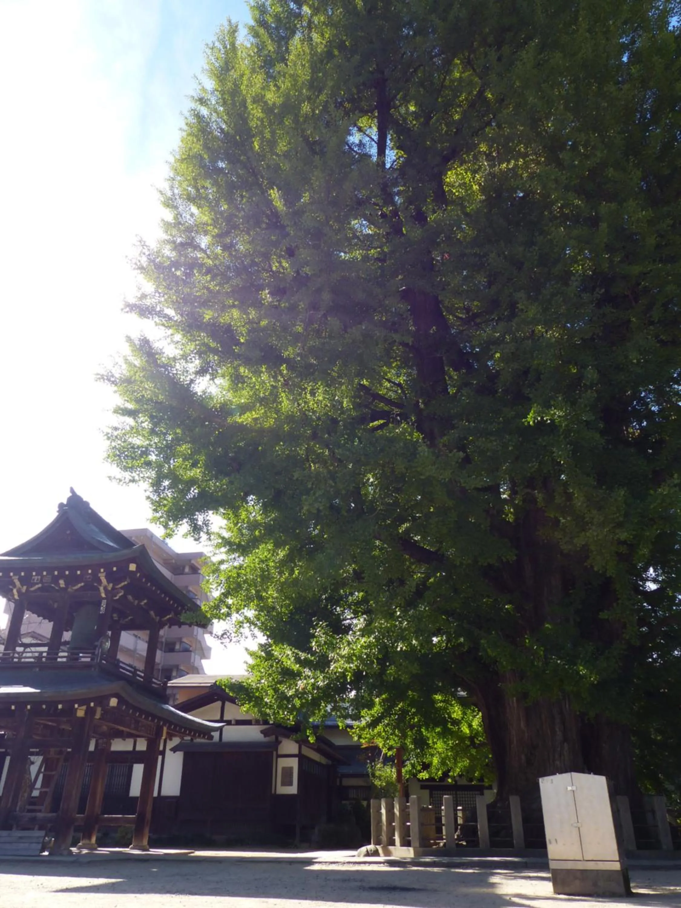 Nearby landmark in Minshuku Kuwataniya