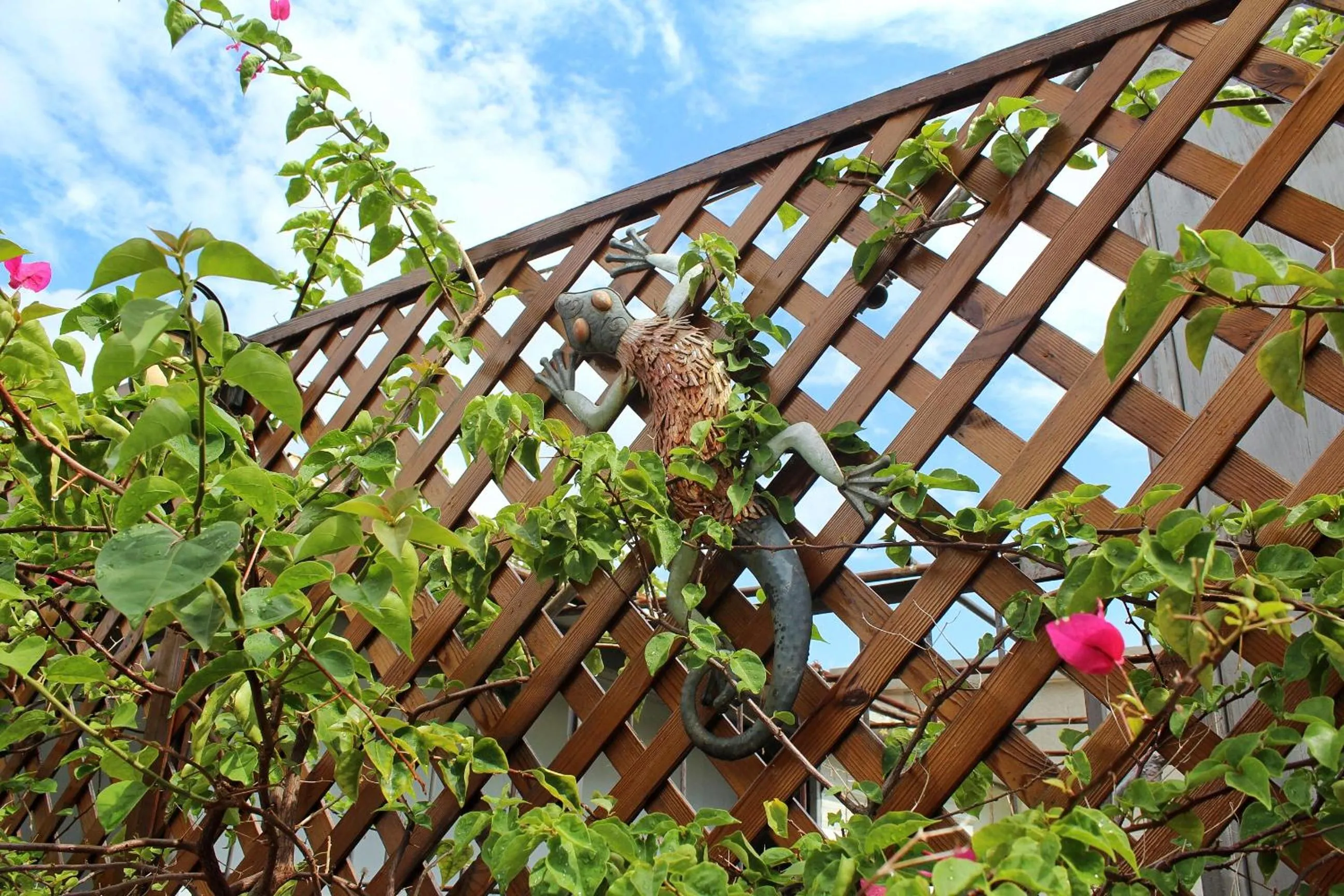 Balcony/Terrace in Mumian inn