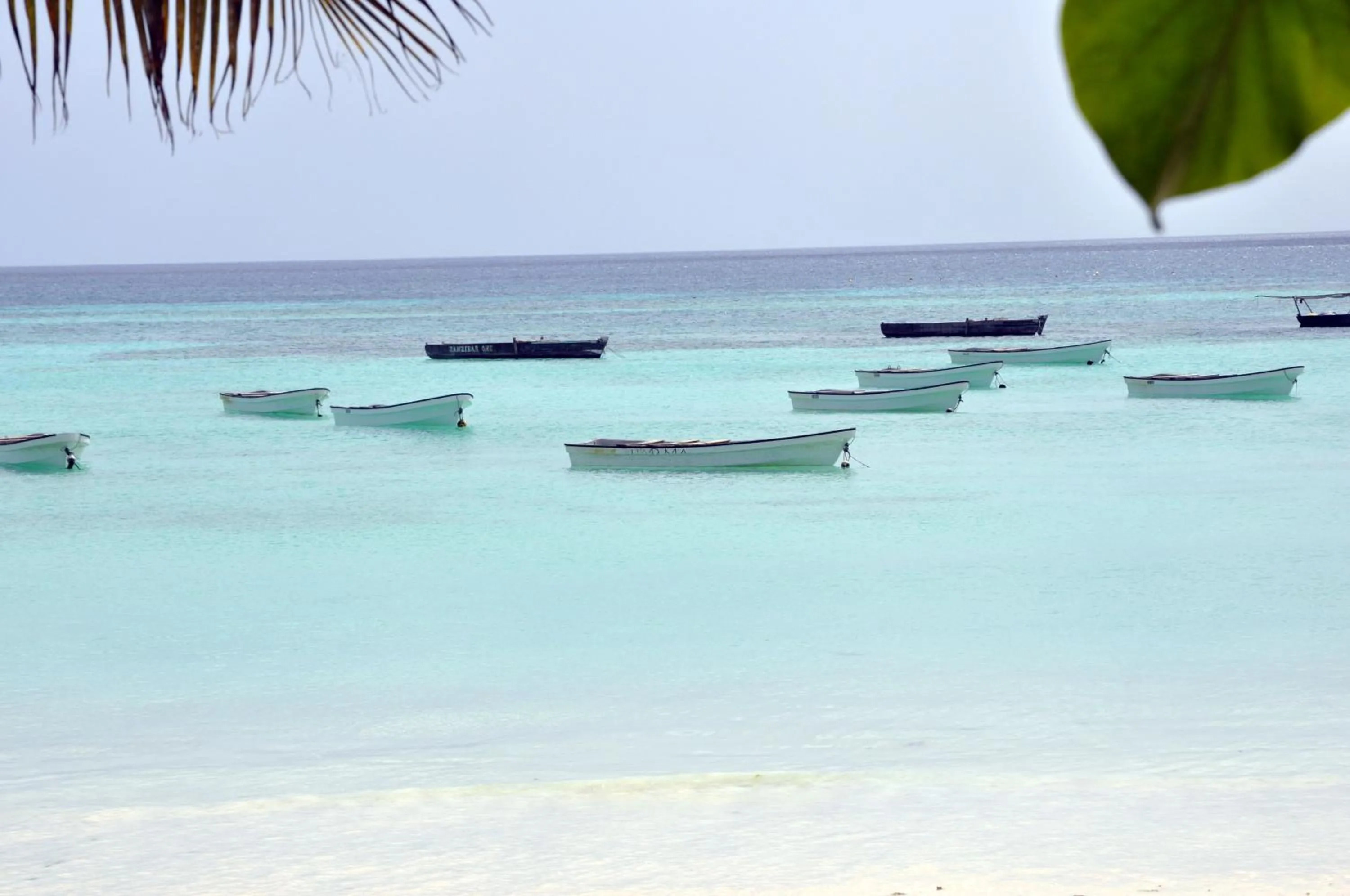 Natural landscape in Villa Huruma