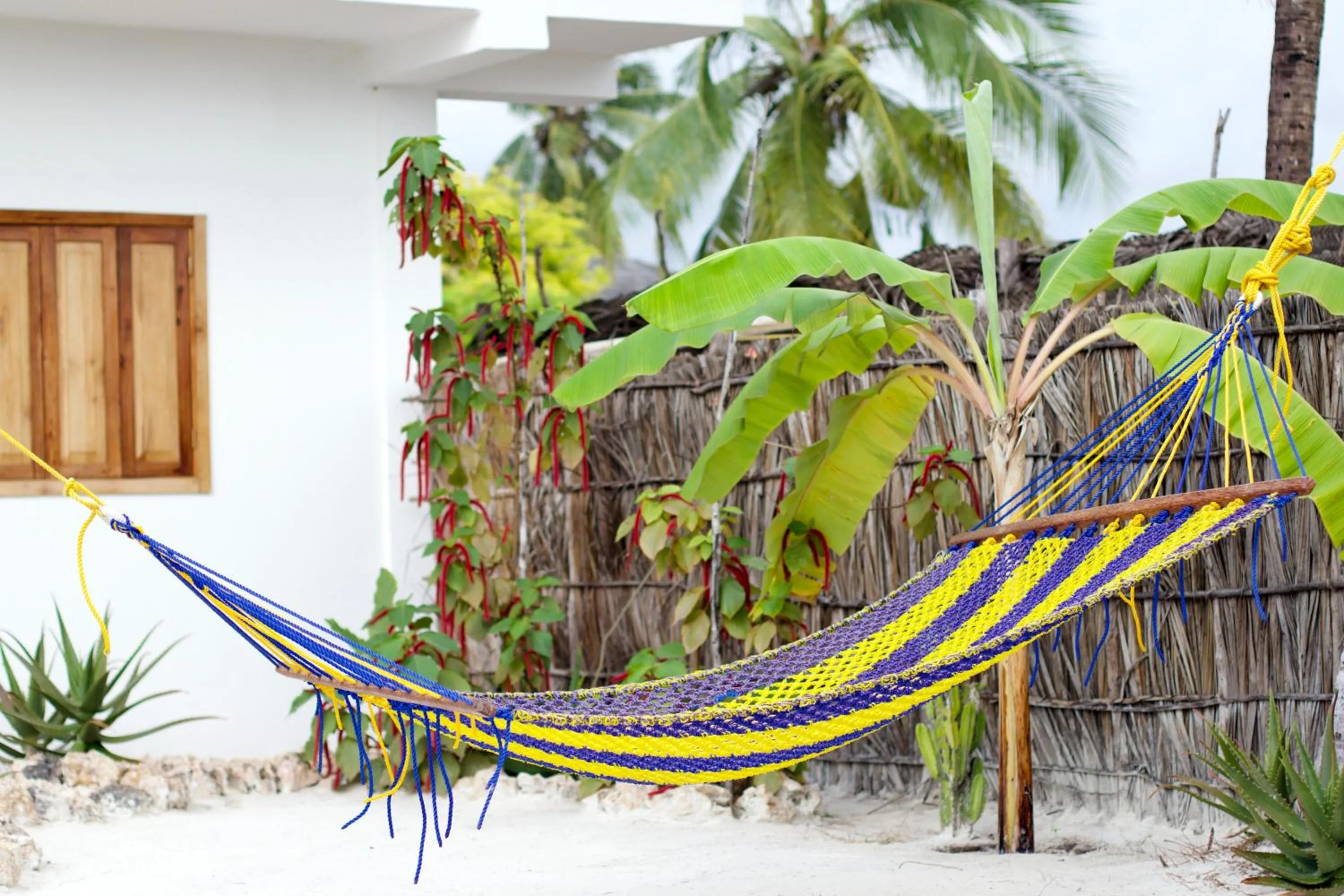 Garden view in Villa Huruma