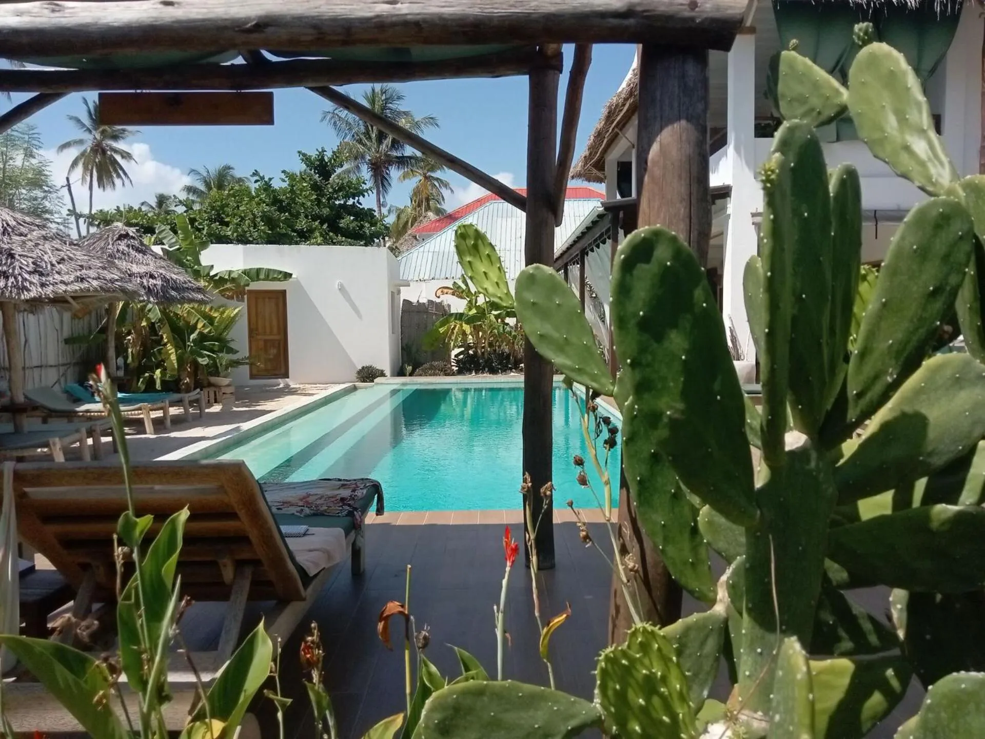 Swimming pool in Villa Huruma