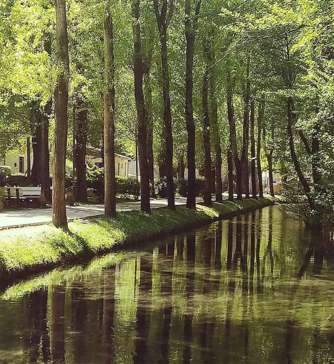 Restaurant/places to eat in Torre Del Nera Albergo diffuso & Spa Restaurant/places to eat in Torre Del Nera Albergo diffuso & Spa