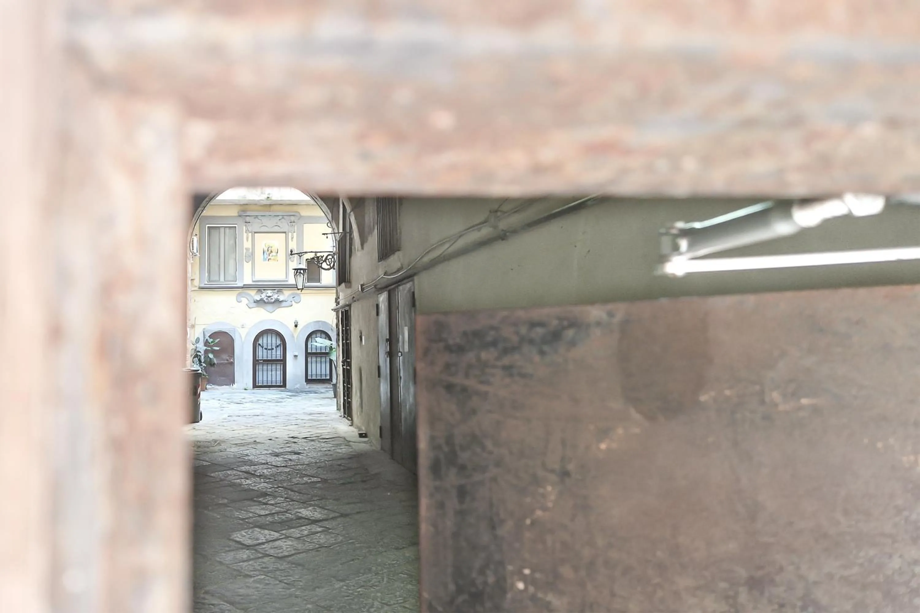 Domus 19