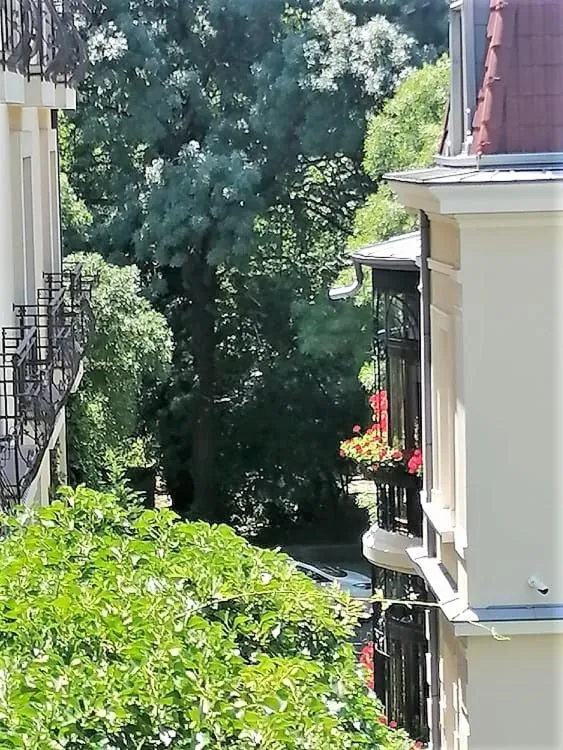 Other in Portofino Apartment