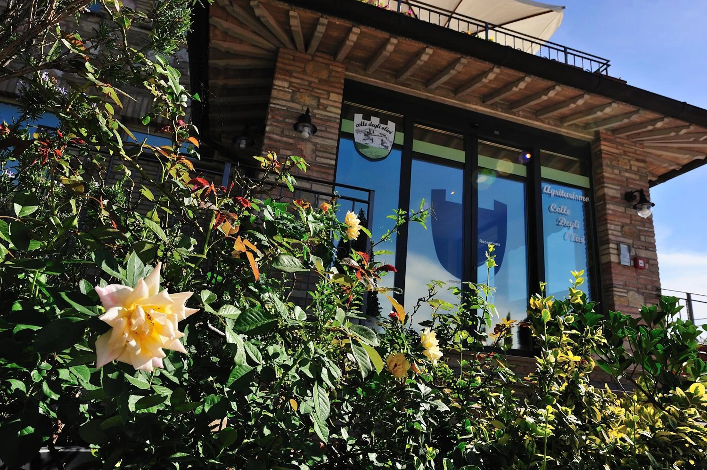 Property building in Colle Degli Olivi snc