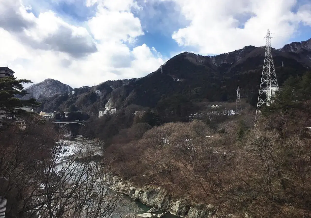 Mountain view in Itoen Hotel New Sakura Mountain view in Itoen Hotel New Sakura
