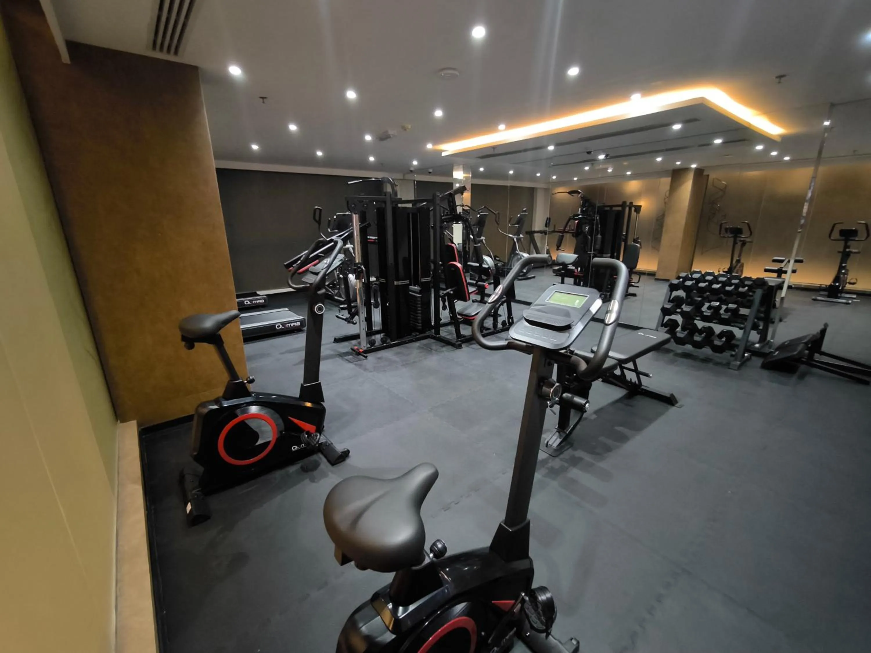 Fitness centre/facilities in Carnelian Muscat - Airport Hotel