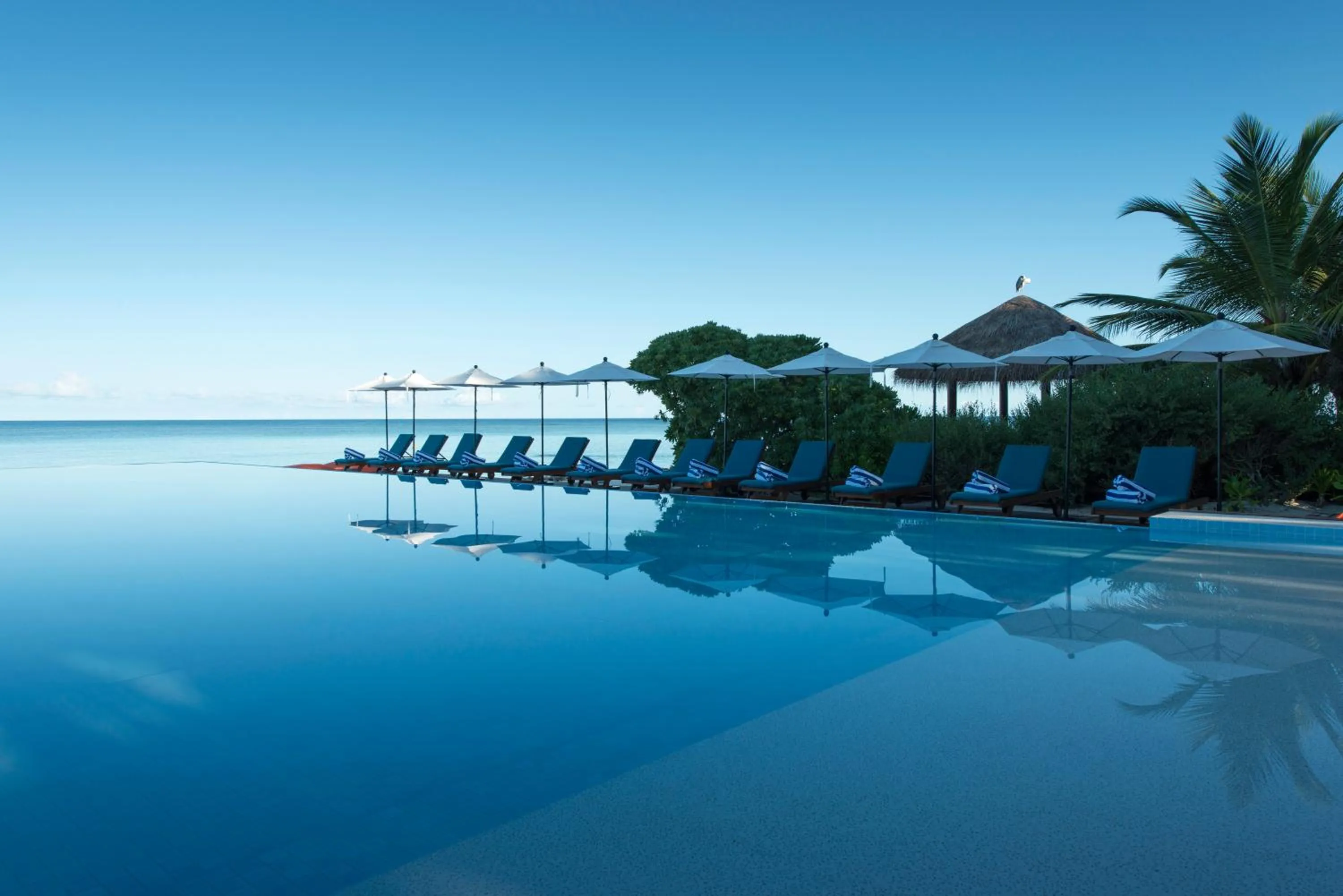 Swimming pool in Summer Island Maldives