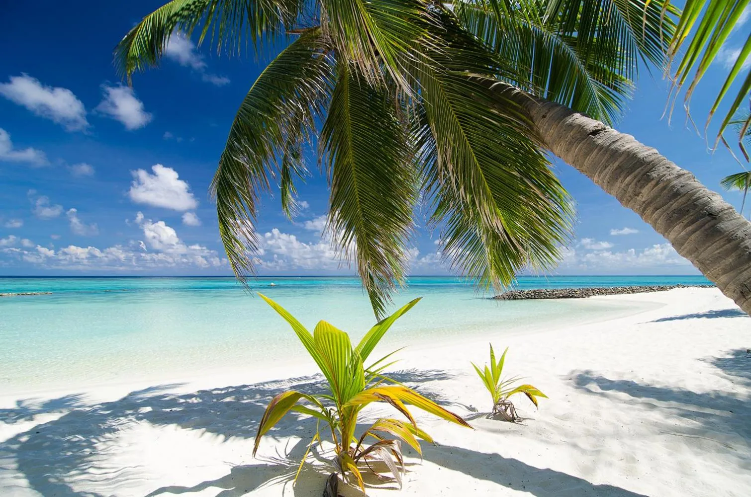 Beach in Summer Island Maldives