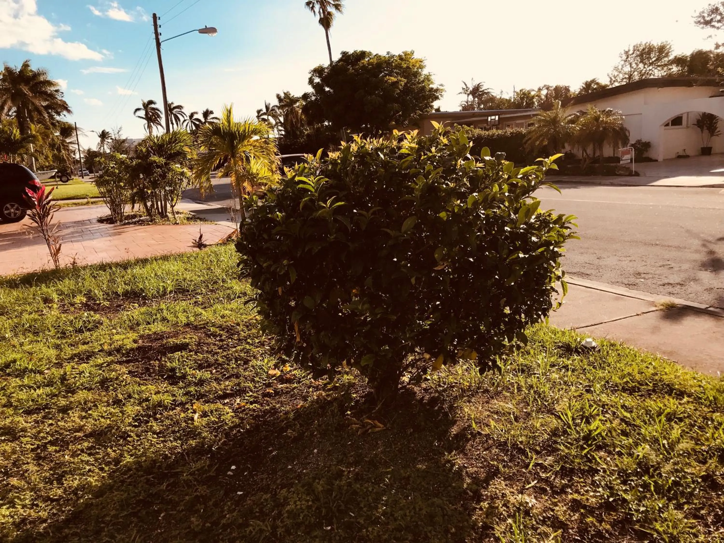 Property building in Blue House Miami