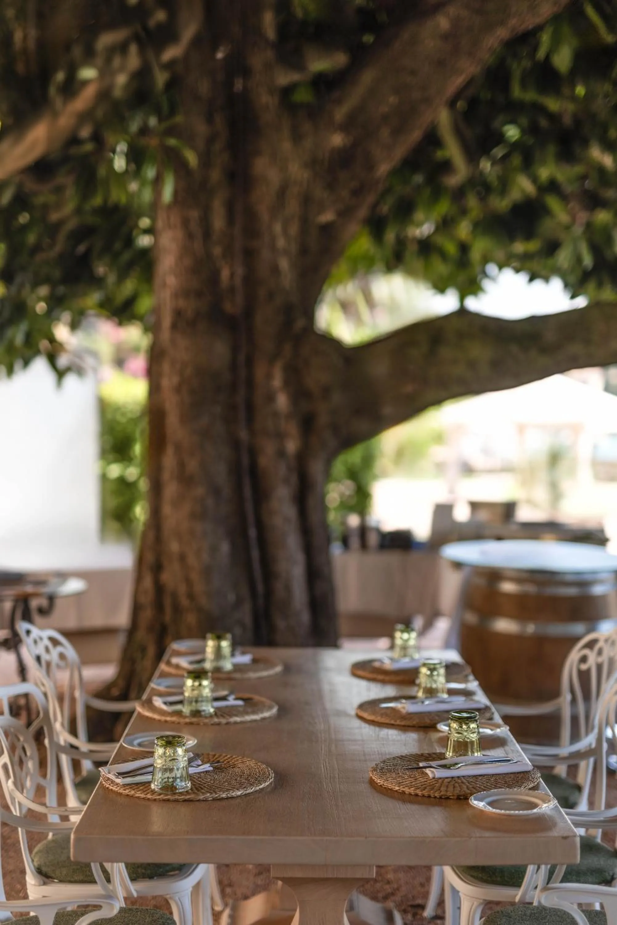 Restaurant/places to eat in Grand Hotel Fasano