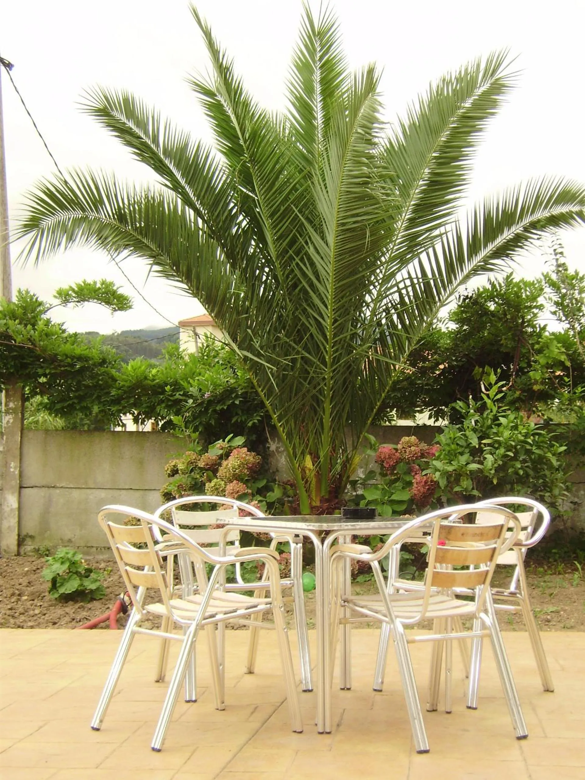 Restaurant/places to eat in Hotel Rural Las Palmeras Muskiz