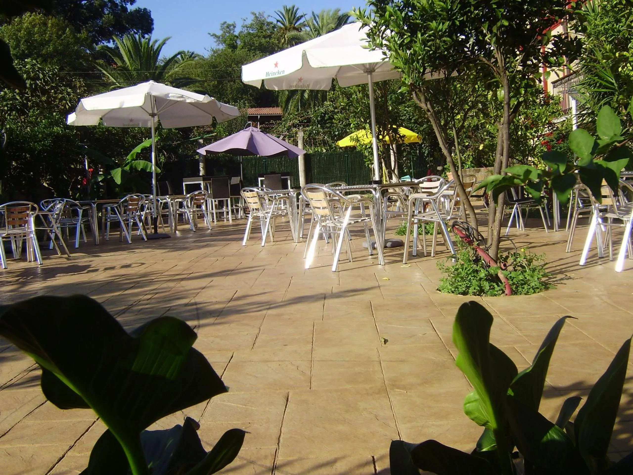 Restaurant/places to eat in Hotel Rural Las Palmeras Muskiz