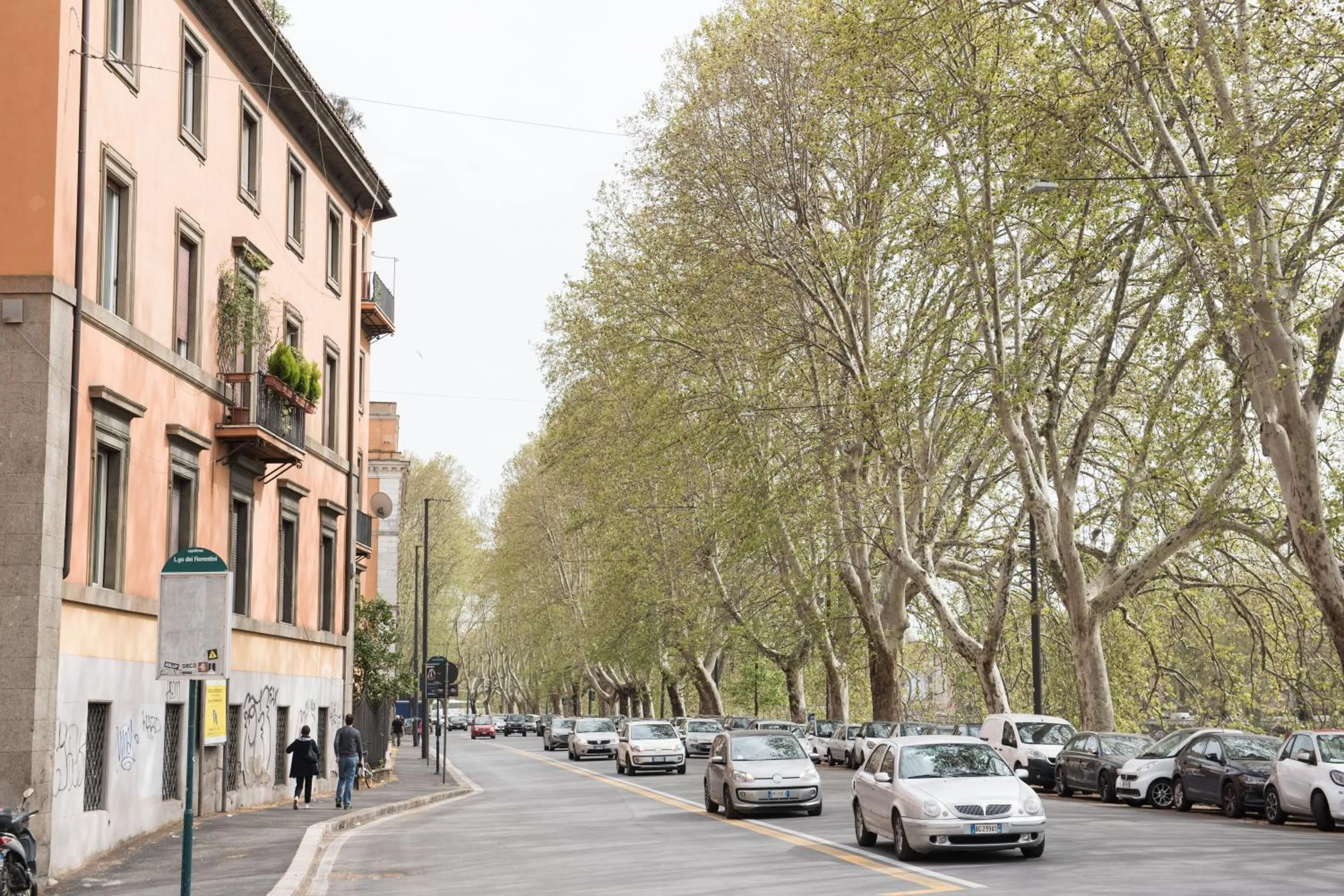 Neighbourhood in Domus Giulia