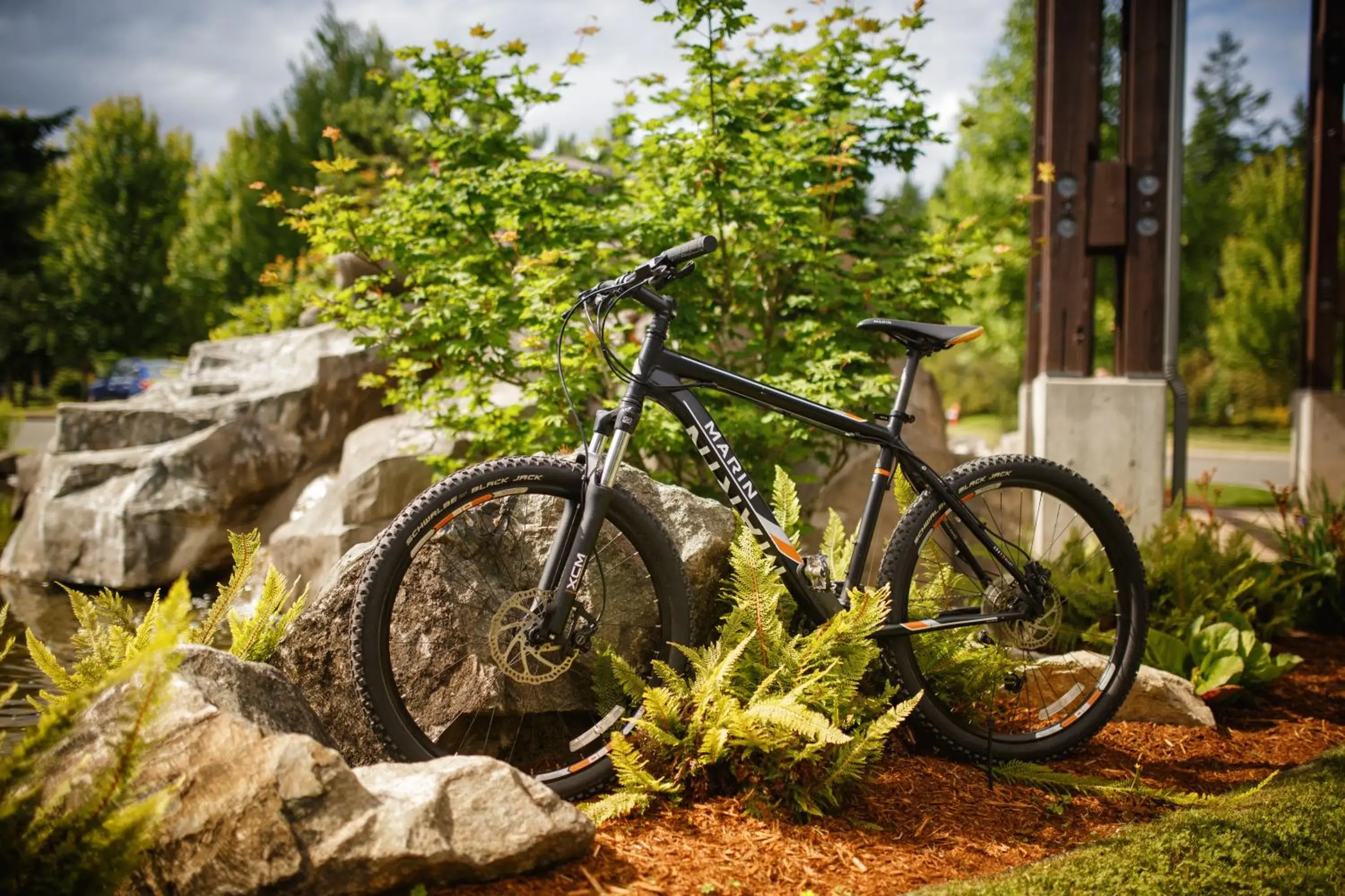 Cycling in Sunrise Ridge Waterfront Resort Cycling in Sunrise Ridge Waterfront Resort