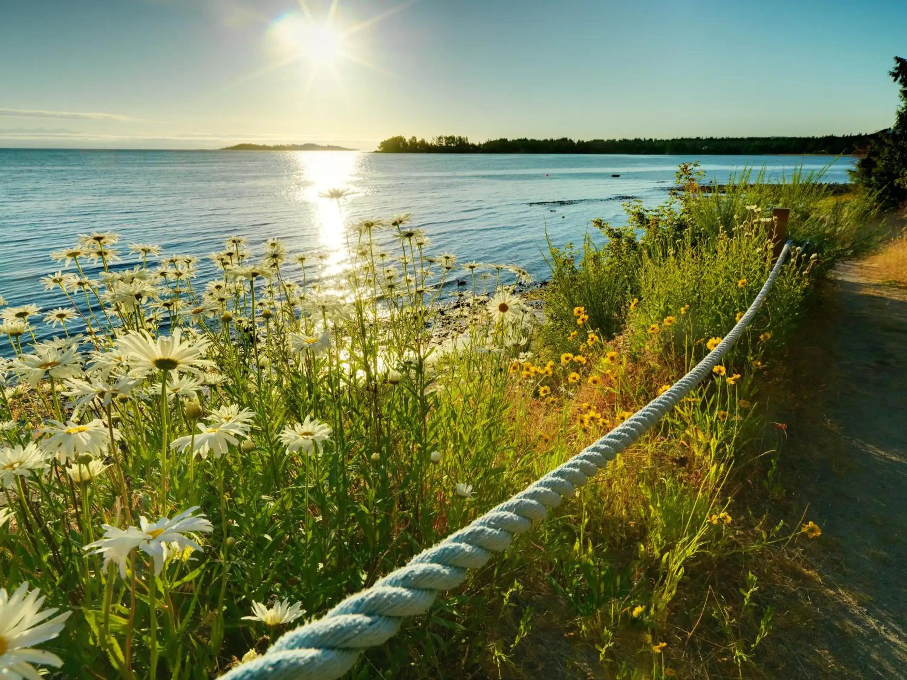 View (from property/room) in Sunrise Ridge Waterfront Resort View (from property/room) in Sunrise Ridge Waterfront Resort