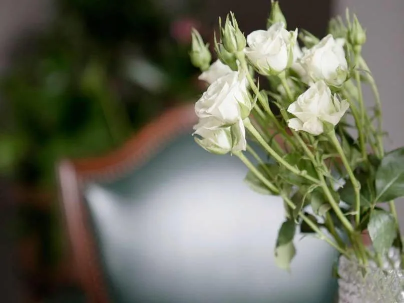 Other in Pembroke Hall