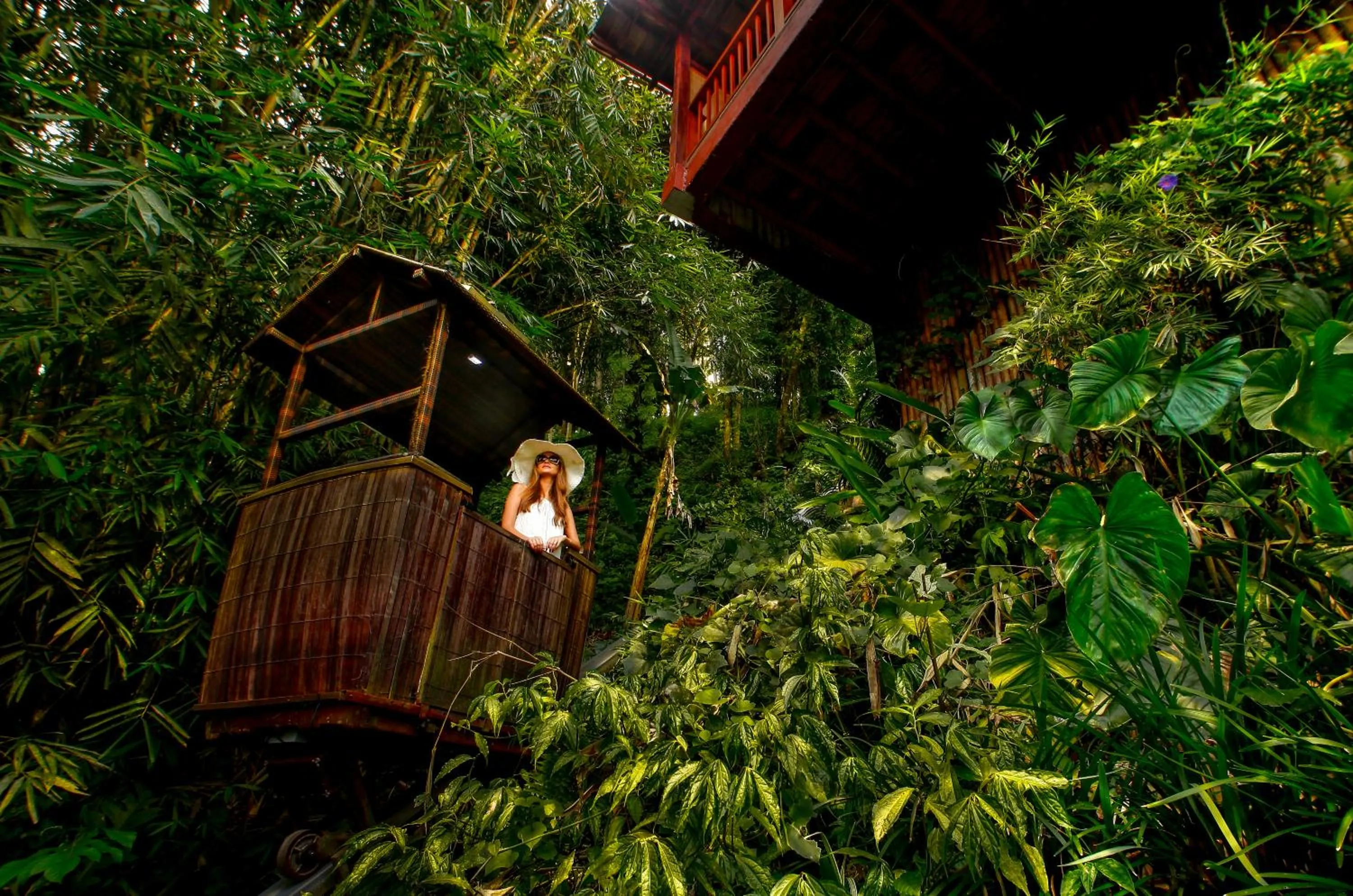 elevator in Nandini Jungle by Hanging Gardens