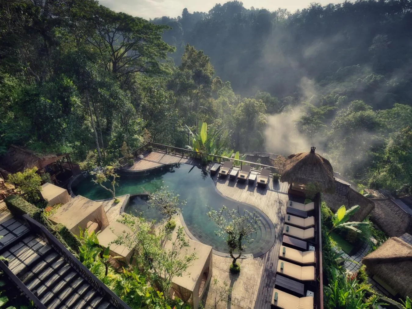 Swimming pool in Nandini Jungle by Hanging Gardens