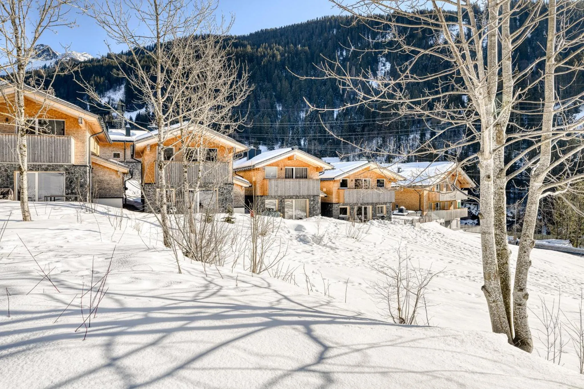 Property building in Arlberg Chalets