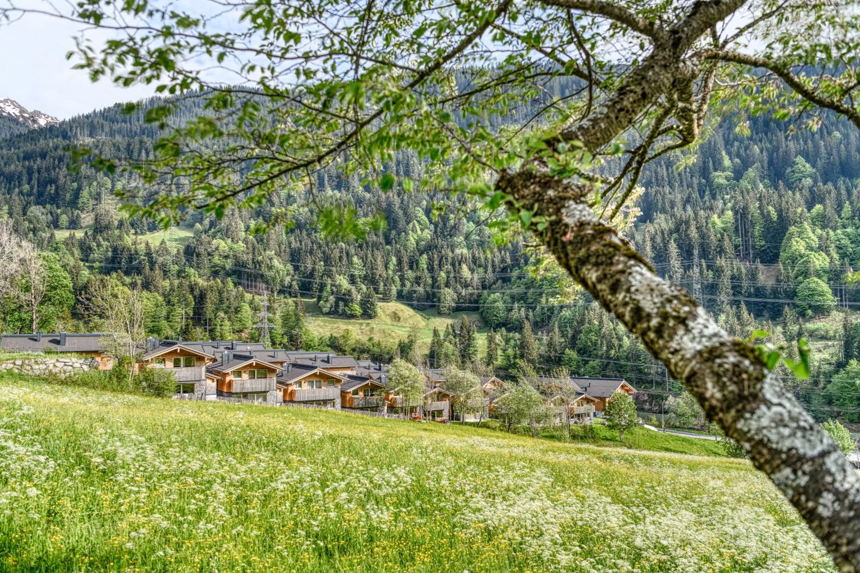 Property building in Arlberg Chalets