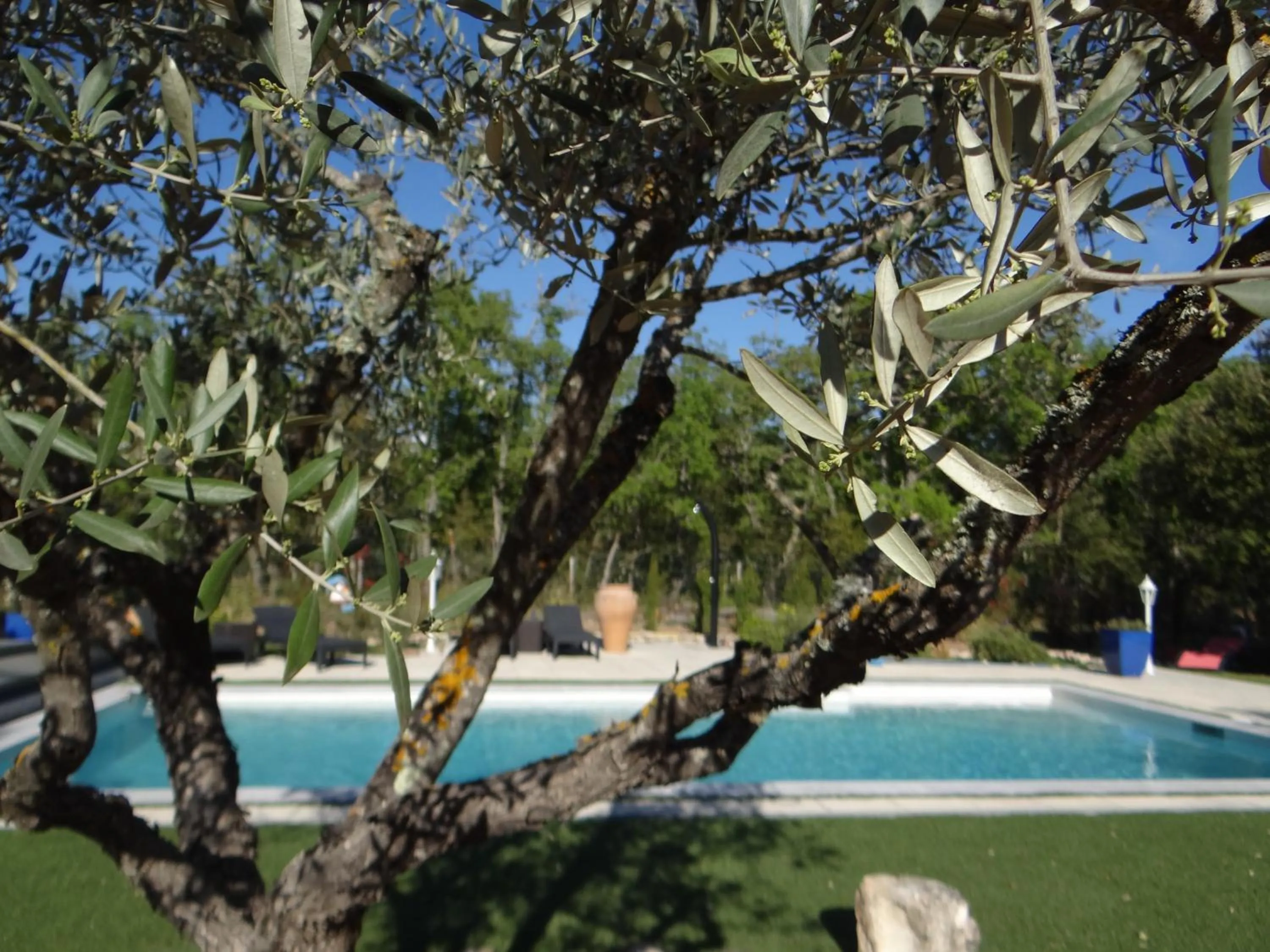 Swimming pool in Mas Val-Chênaie Gordes