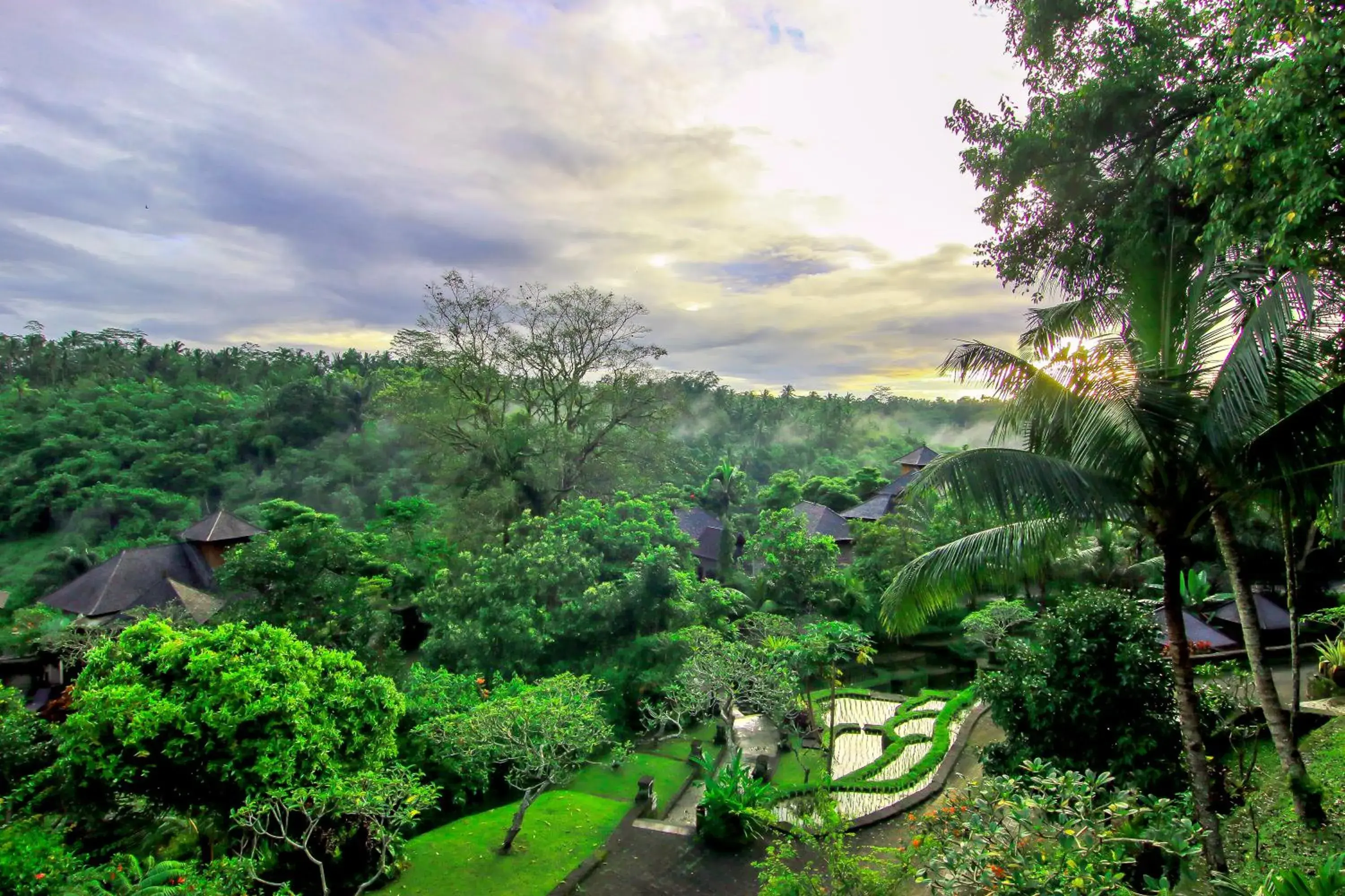 View (from property/room) in The Payogan Villa Resort and Spa View (from property/room) in The Payogan Villa Resort and Spa