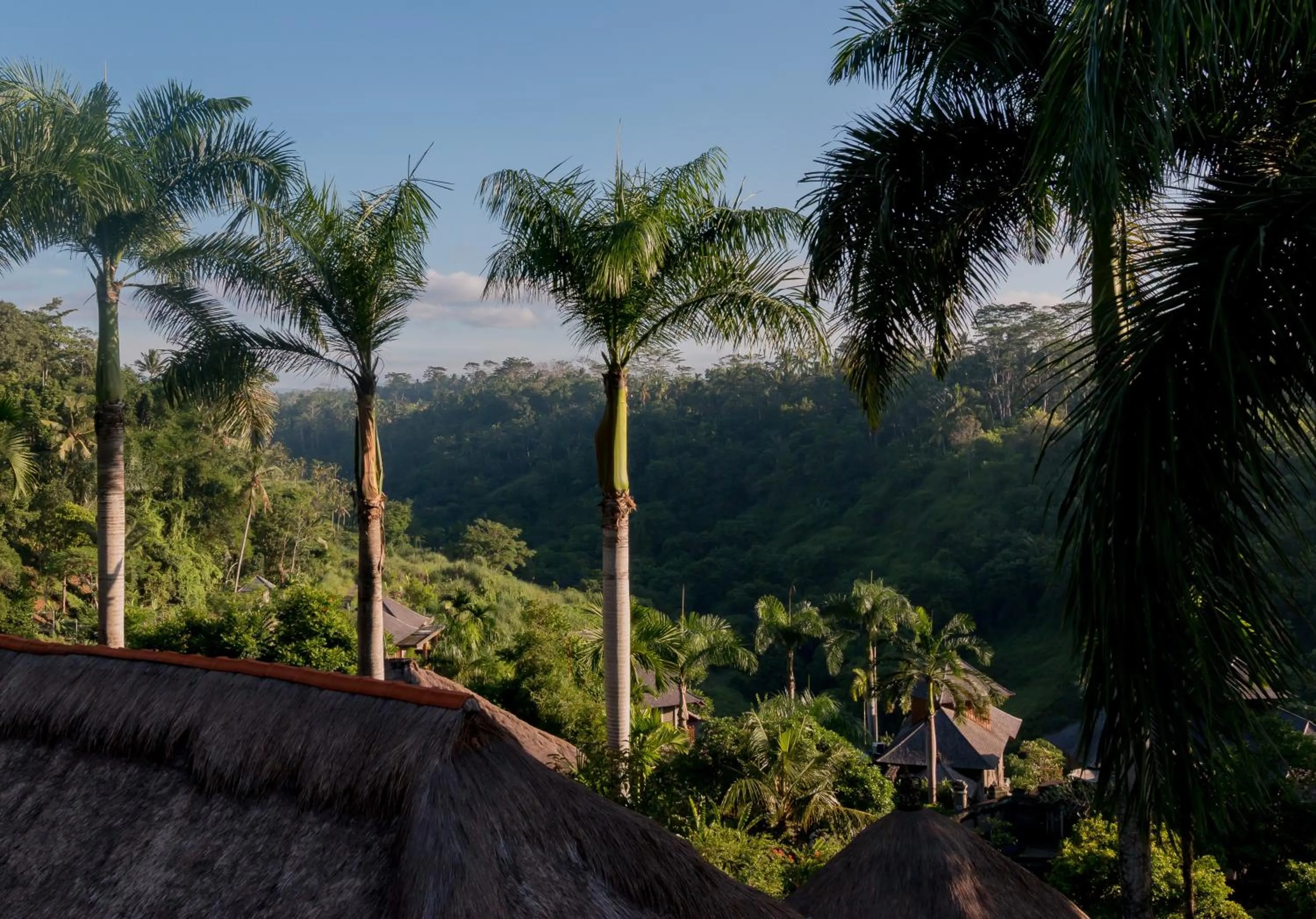 Natural landscape in The Payogan Villa Resort and Spa