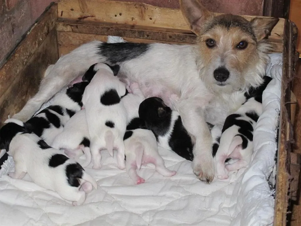 Other in Bluebell Farm