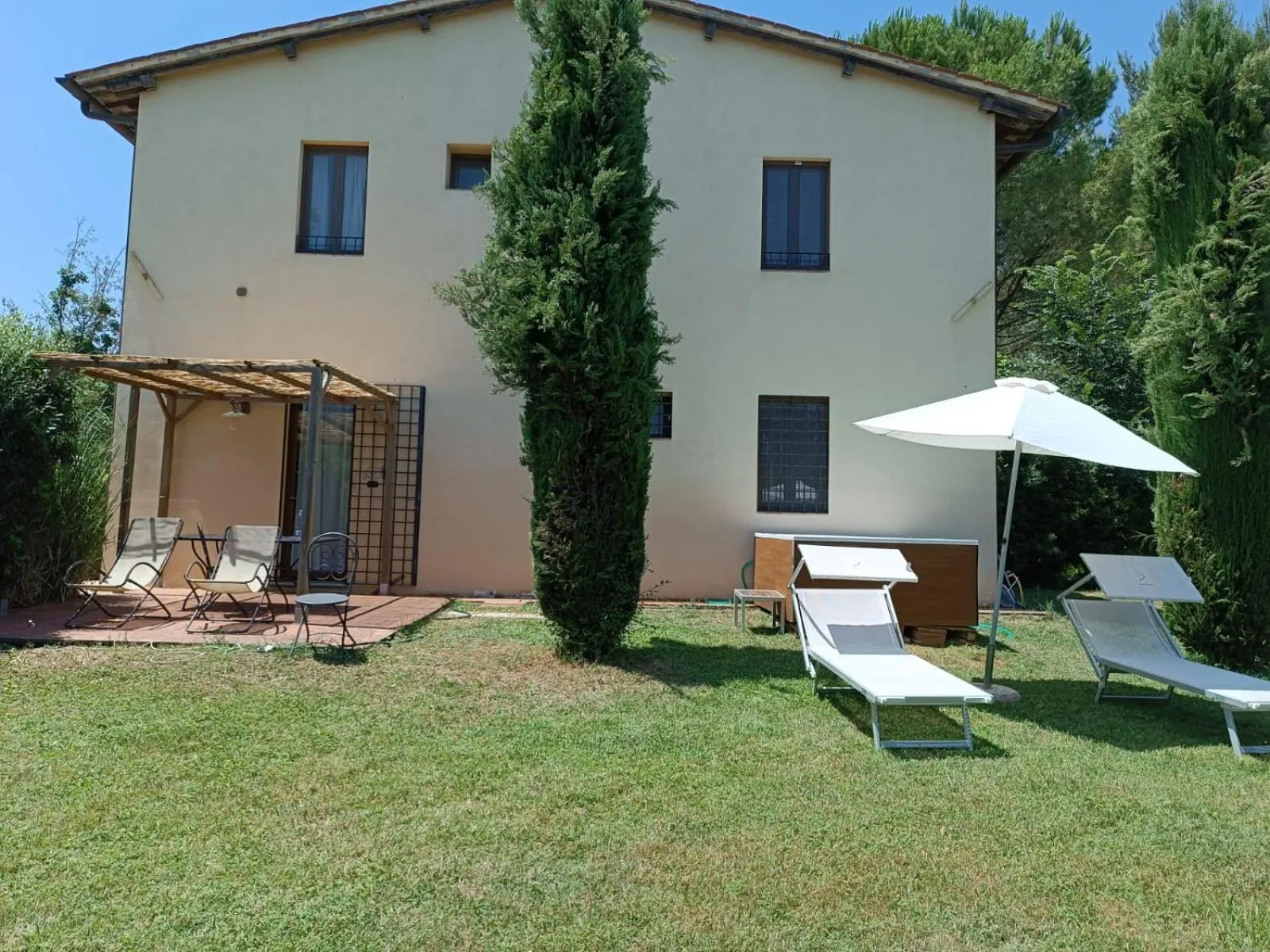 Gatto Bianco Tizzauli