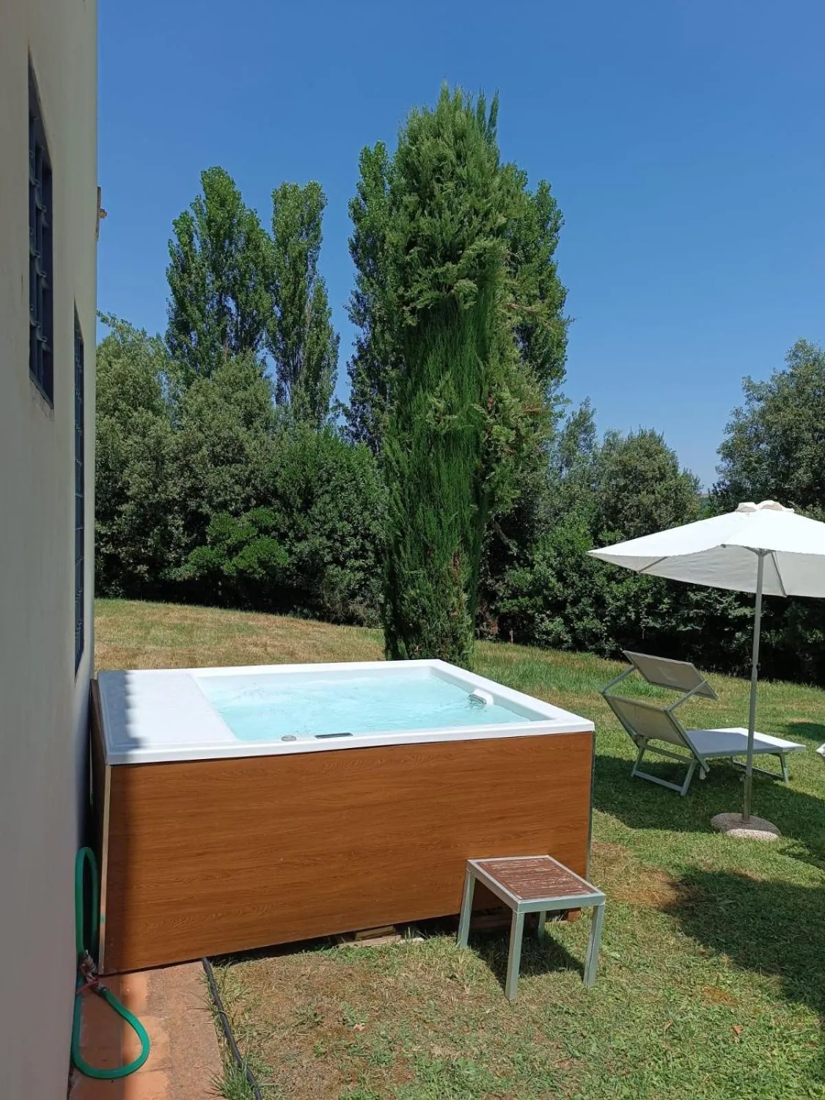 Gatto Bianco Tizzauli