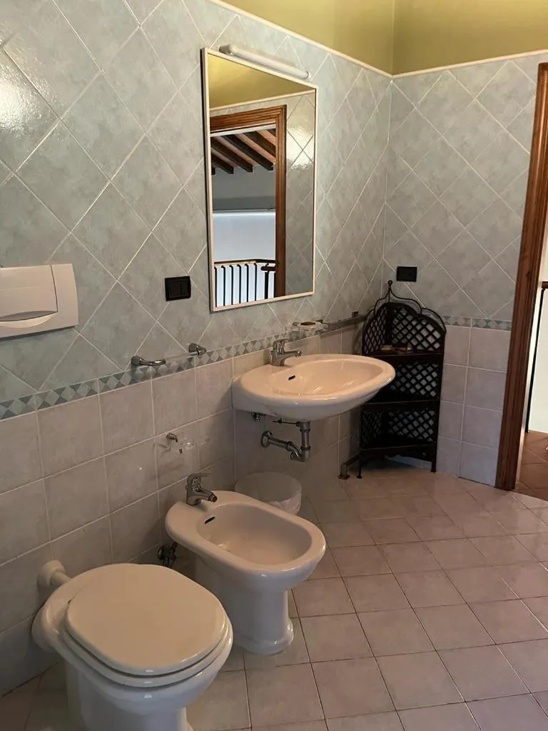 Gatto Bianco Tizzauli